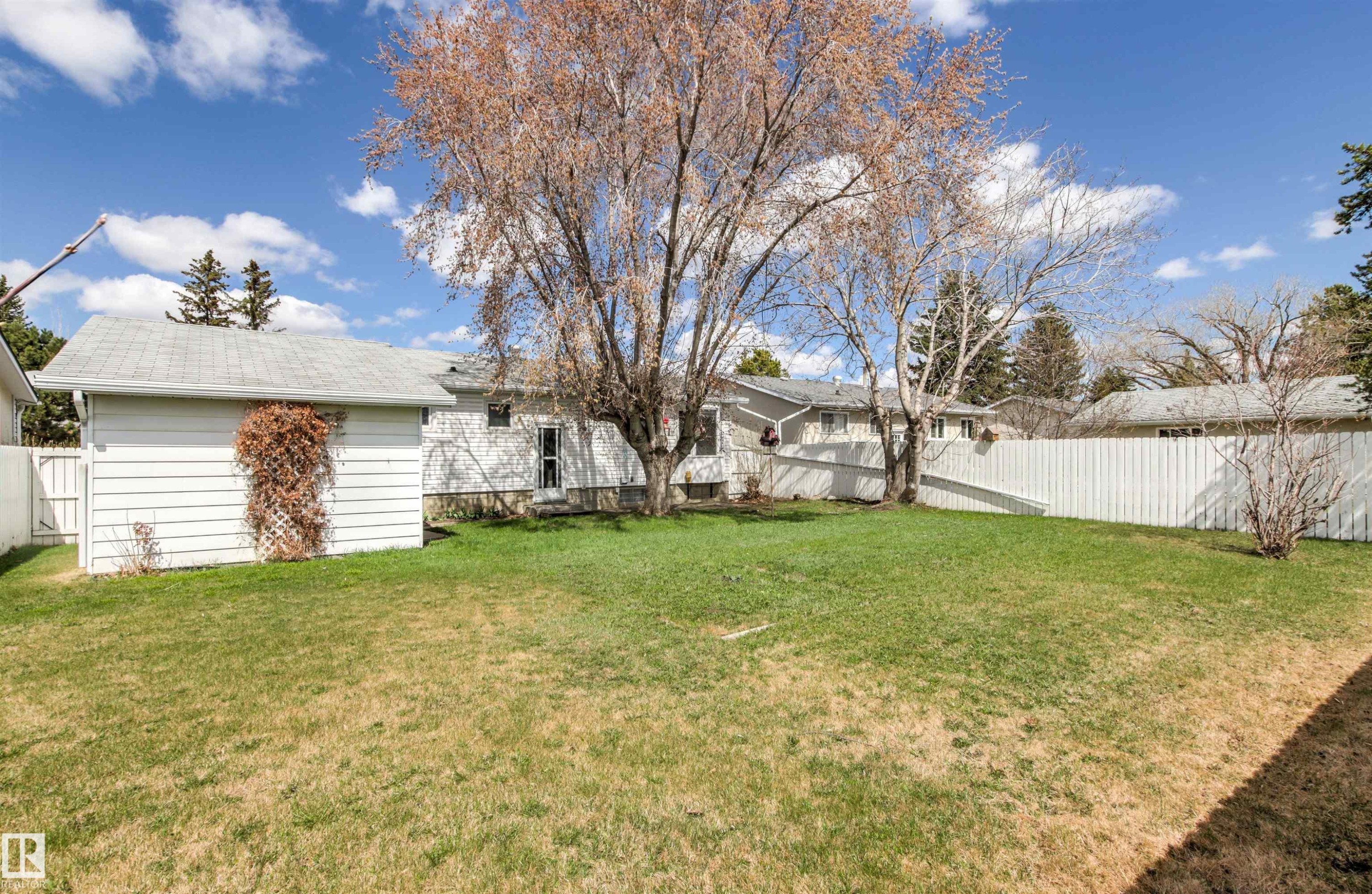 Spacious backyard featuring a manicured lawn, mature trees, and white privacy fencing - 29 Bristow Crescent, Spruce Grove, AB - Outdoor