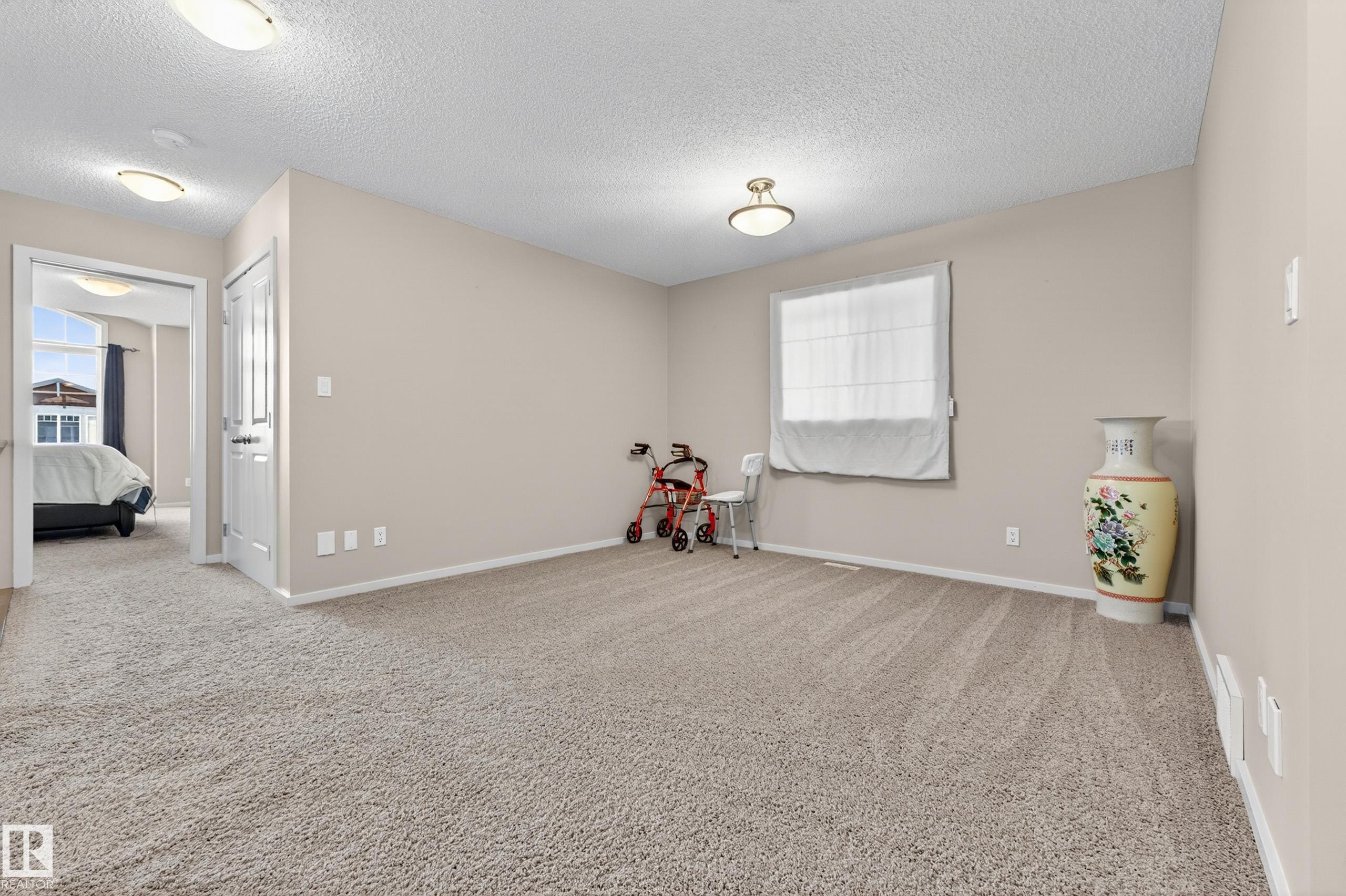 22055 95 Avenue Nw, Edmonton, AB - Indoor Photo Showing Other Room