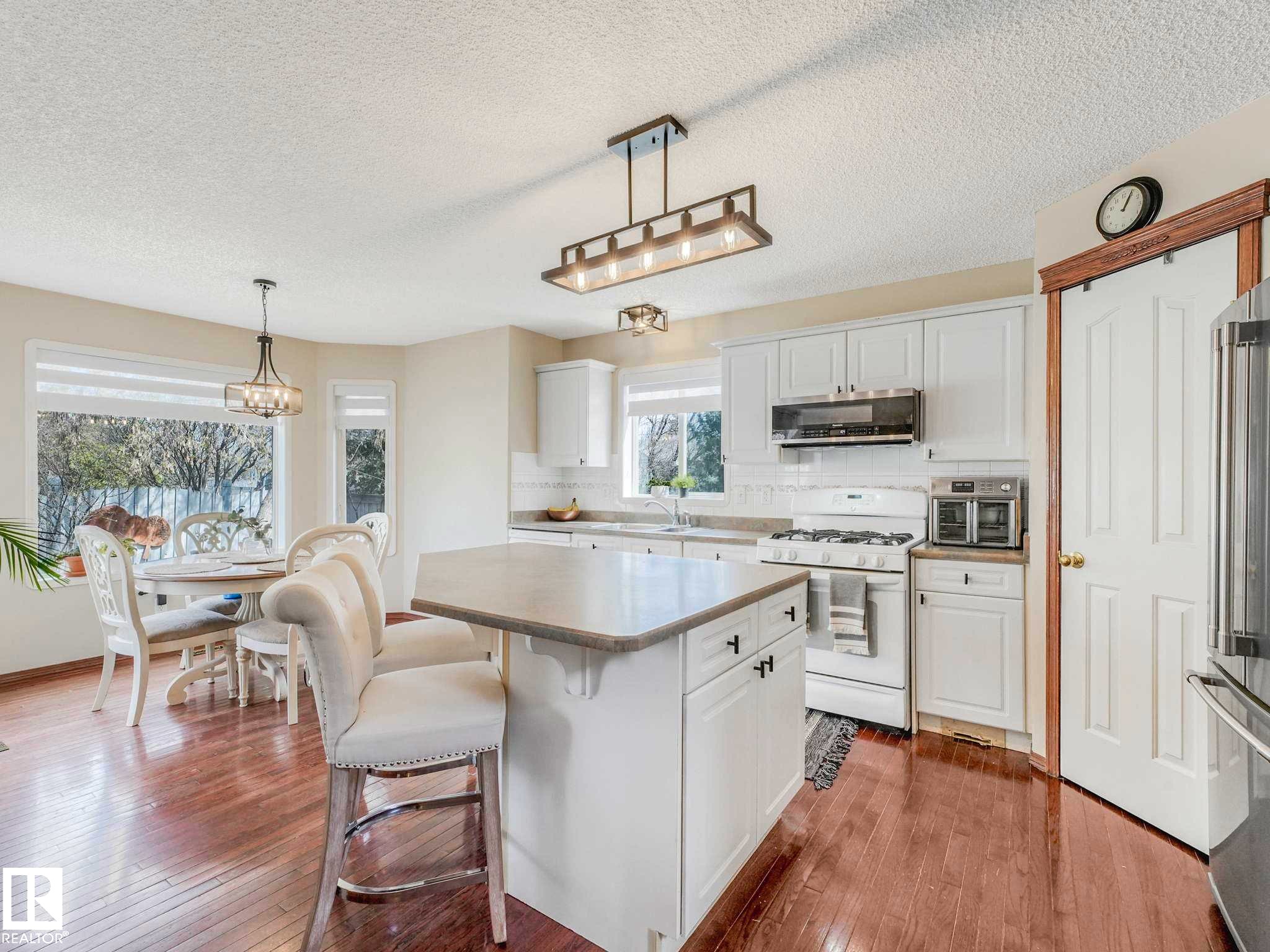 18508 50 Avenue, Edmonton, AB - Indoor Photo Showing Kitchen With Double Sink