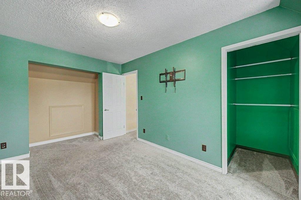 The property features a room with light green walls, light gray carpet, and a white ceiling with a flush-mount light fixture - Edmonton, AB - Indoor