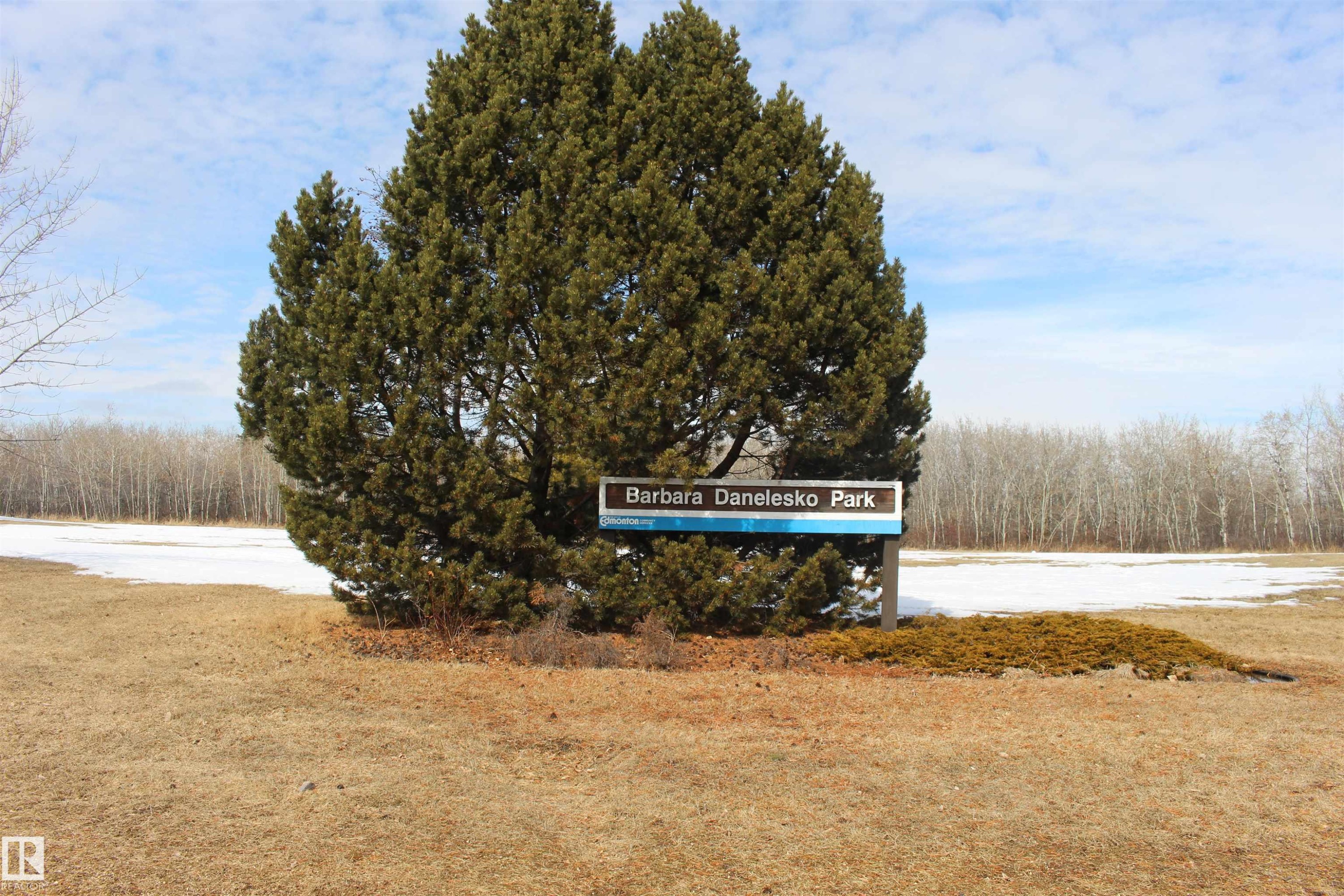 The property is located near Barbara Danelesko Park, featuring mature evergreen trees and open spaces - Edmonton, AB - Outdoor With View