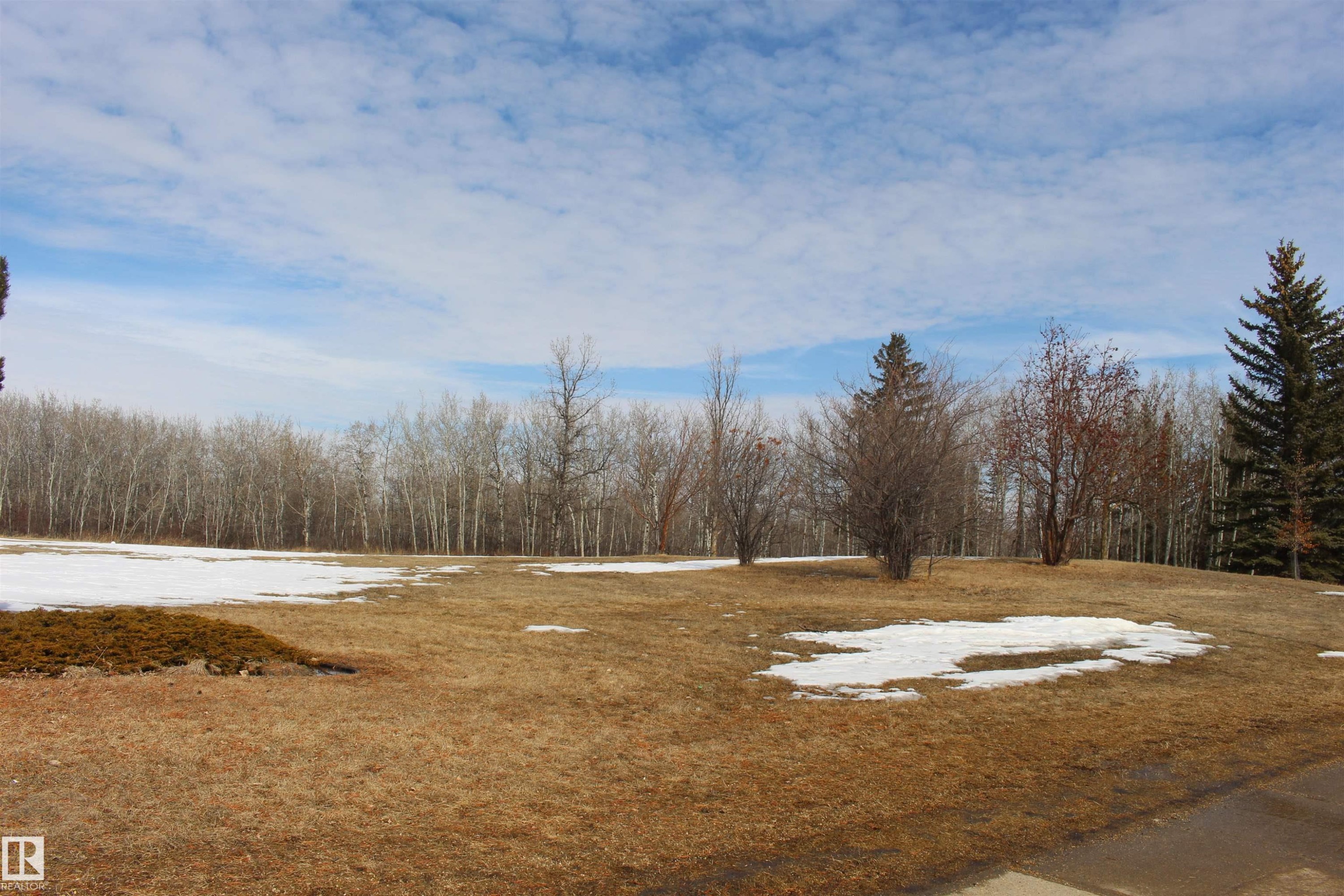 The property offers an expansive outdoor area with a large lawn and mature trees - Edmonton, AB - Outdoor With View