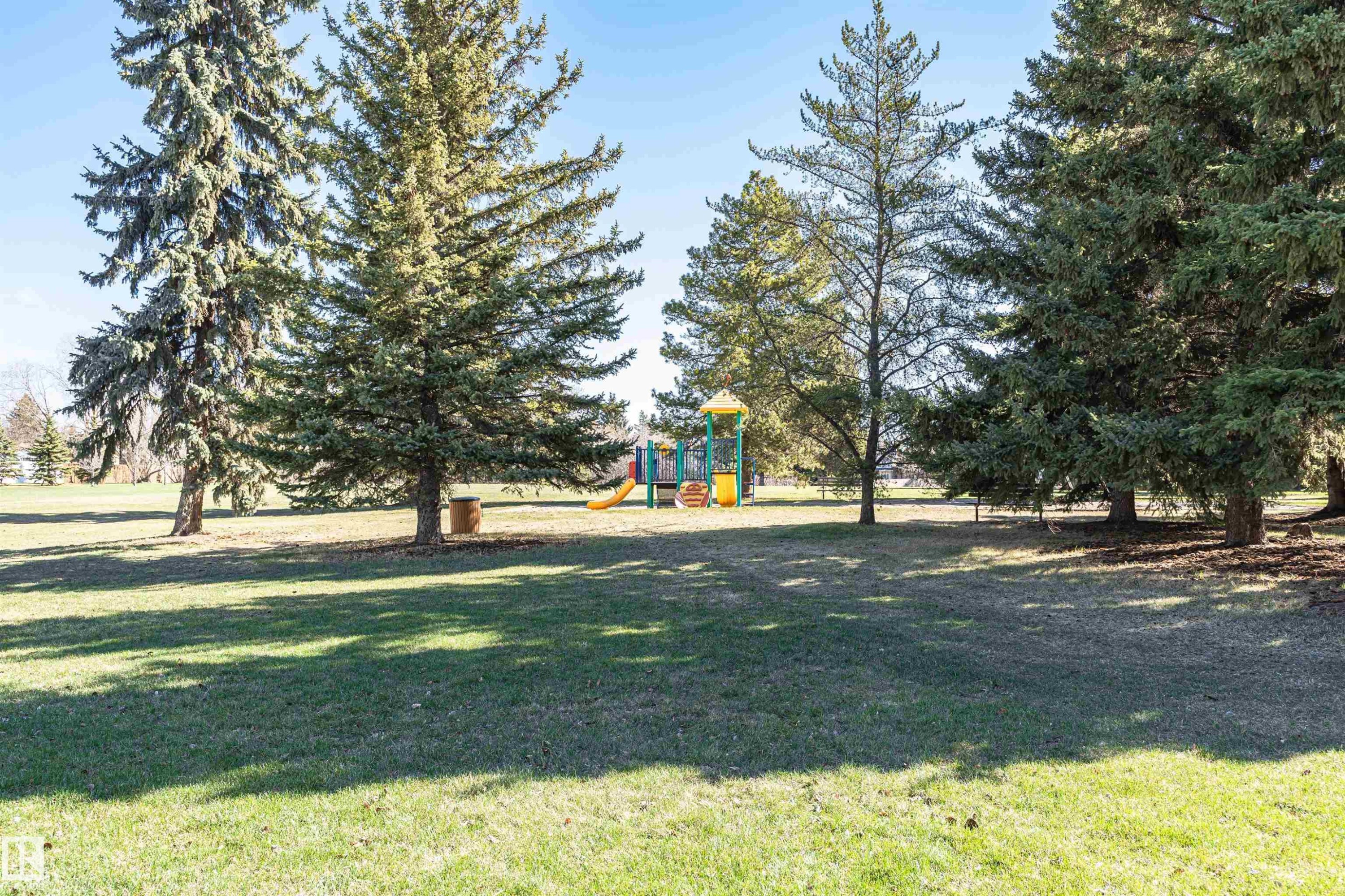 Expansive park setting featuring mature evergreen trees and a vibrant playground structure - 49 Ash Crescent, St. Albert, AB - Outdoor With View