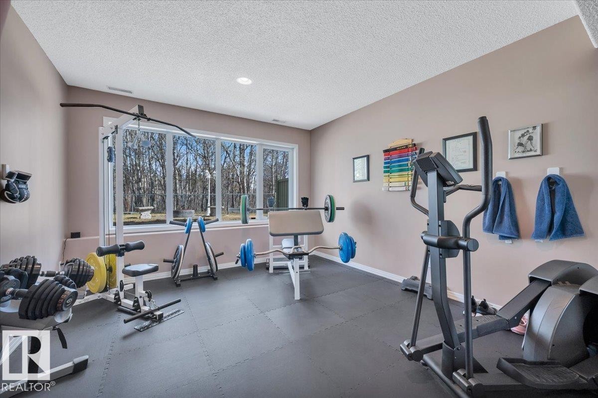 GYM WITH RUBBER TILE FLOOR OVERLOOKING THE BACK YARD AND RAVINE - 314 Weaver Point(E), Edmonton, AB - Indoor Photo Showing Gym Room