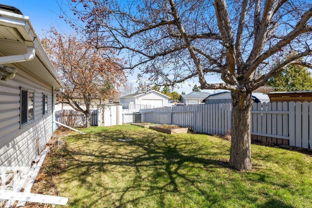 Expansive backyard featuring a mature deciduous tree, a manicured lawn, a white picket fence, and a garden shed - 3736 12 Avenue, Edmonton, AB - Outdoor