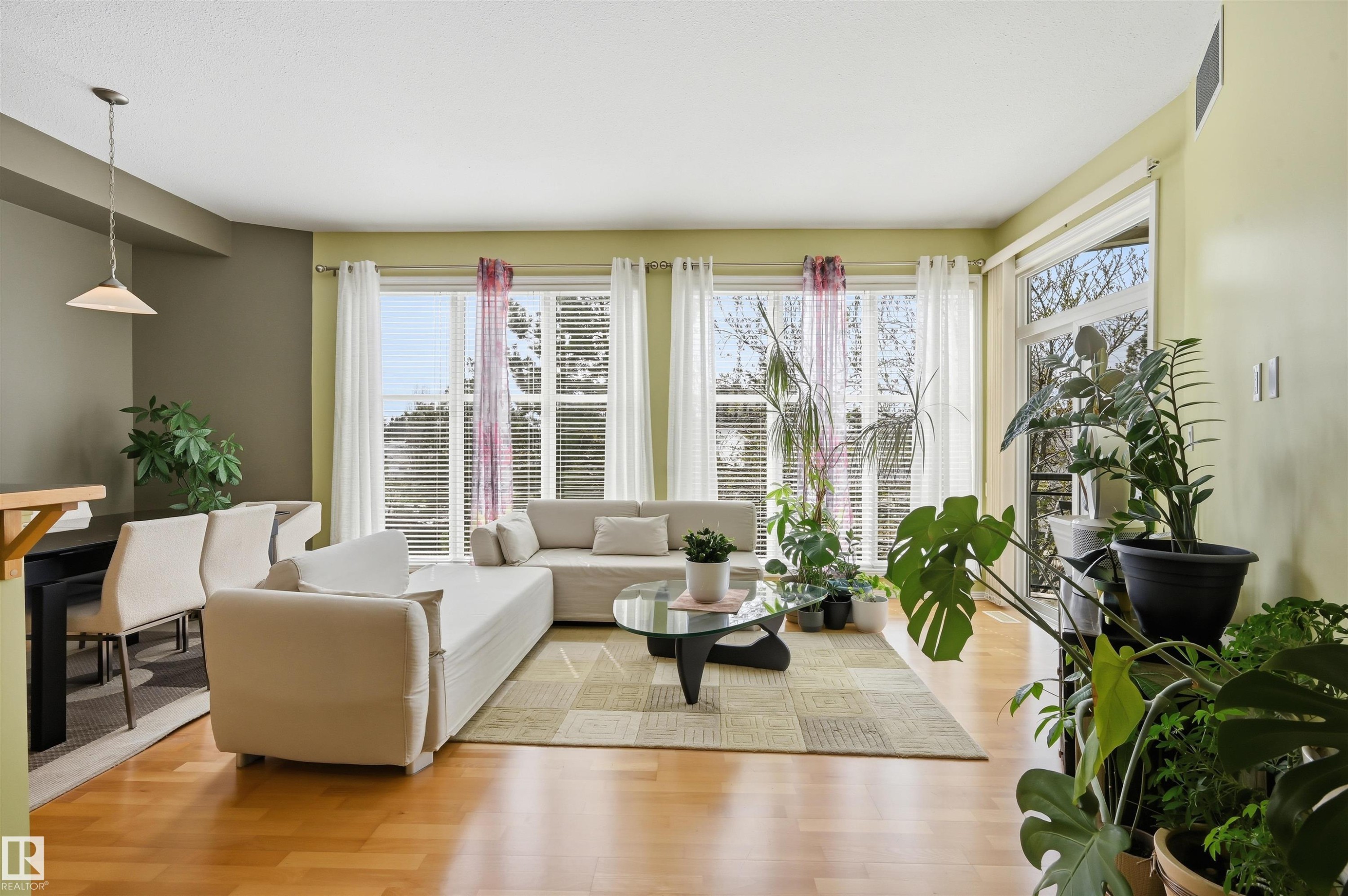 248 4827 104A Street, Edmonton, AB - Indoor Photo Showing Living Room
