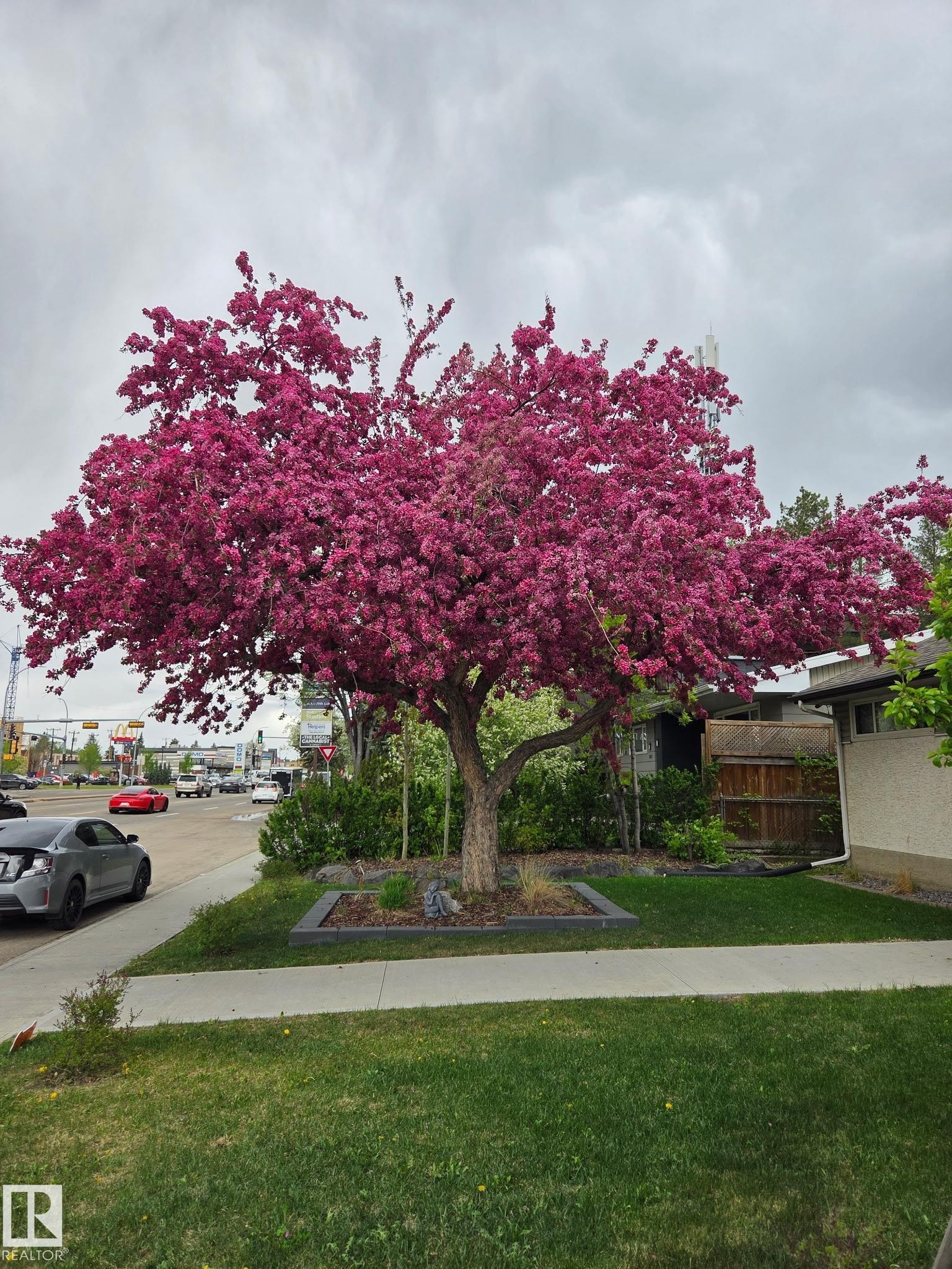 8603 149 Street, Edmonton, AB - Outdoor