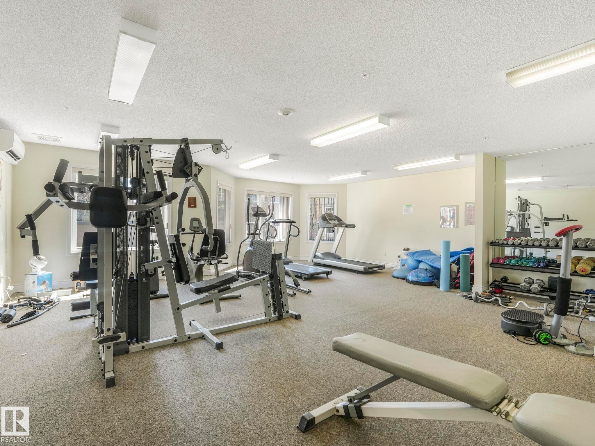 Dedicated fitness room featuring cushioned flooring, multiple windows, and bright overhead lighting - 317 2420 108 Street, Edmonton, AB - Indoor Photo Showing Gym Room