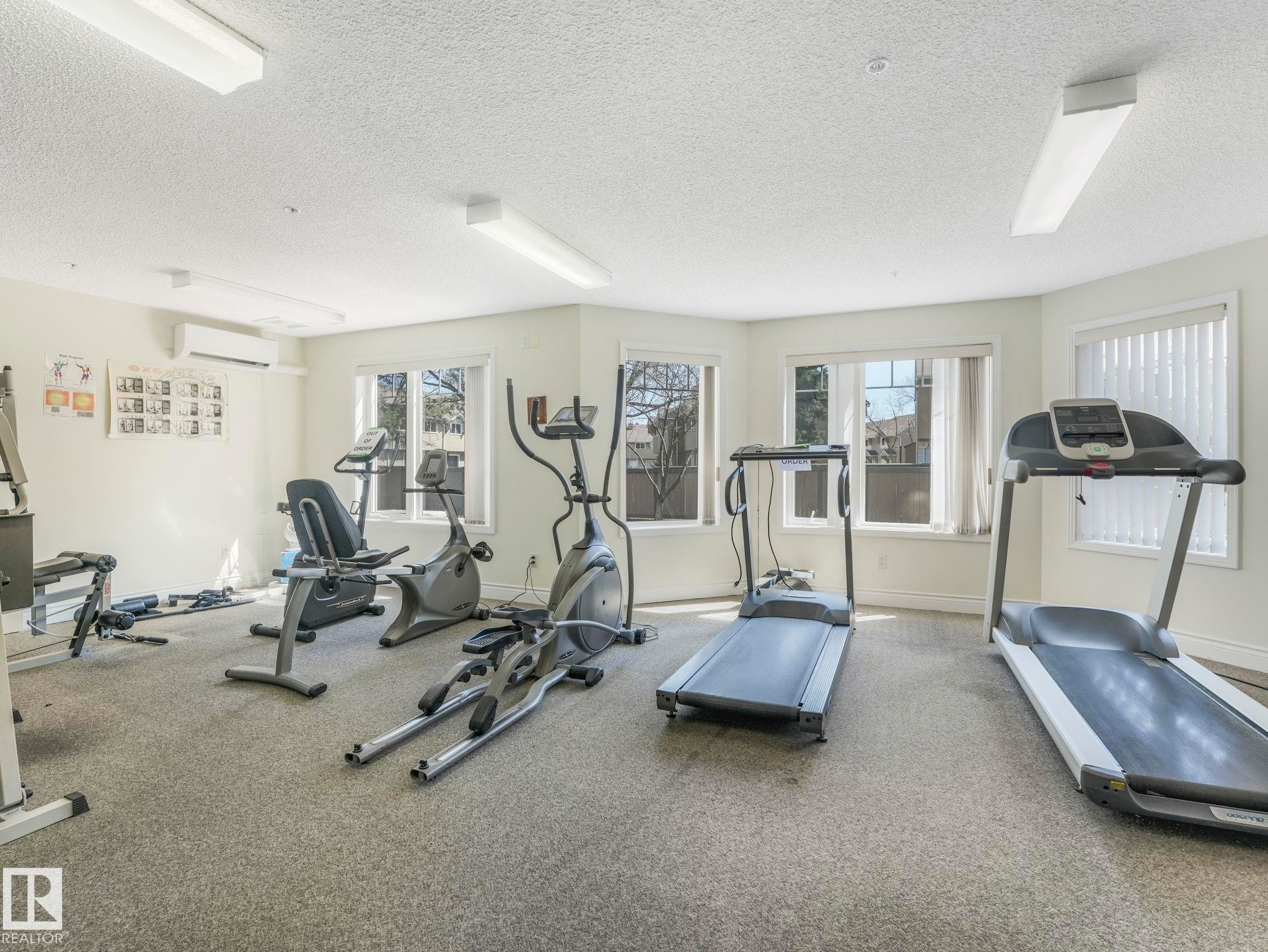 Dedicated fitness room featuring wall-to-wall carpeting and multiple windows for natural light - 317 2420 108 Street, Edmonton, AB - Indoor Photo Showing Gym Room