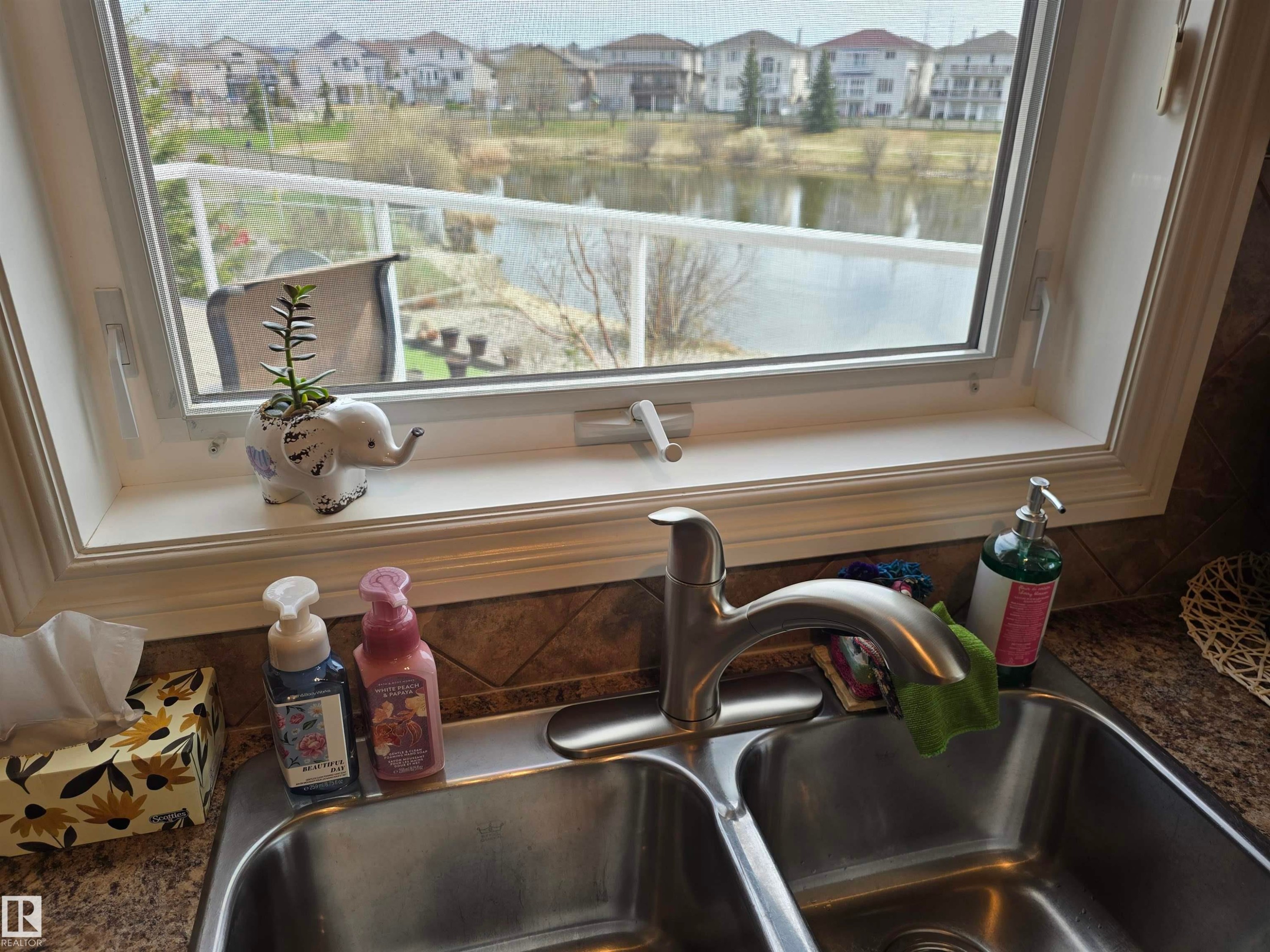 7429 162 Avenue Nw, Edmonton, AB - Indoor Photo Showing Kitchen With Double Sink