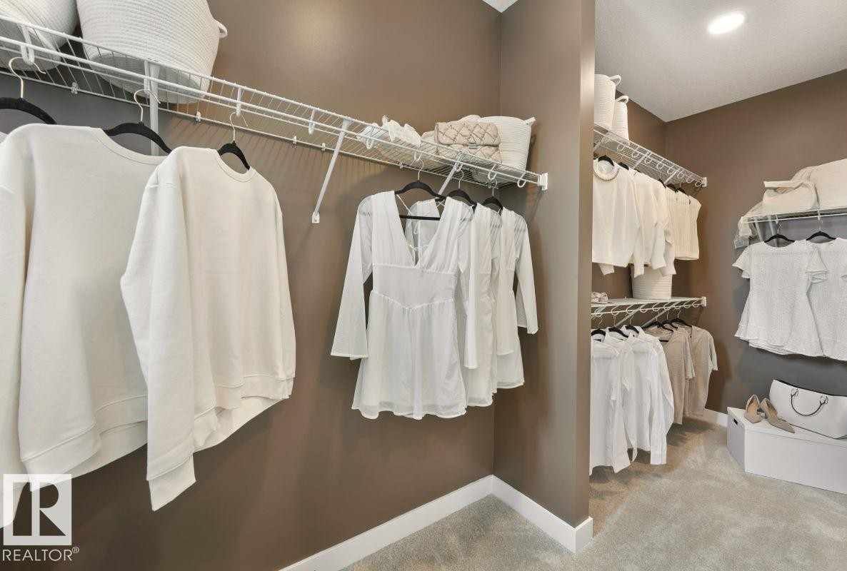 Walk in closet with carpet - 2131 194 Street Nw, Edmonton, AB - Indoor With Storage