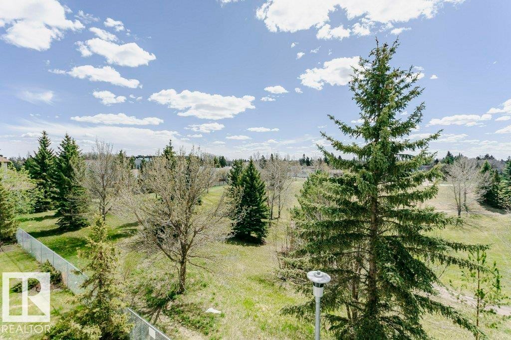Expansive green space featuring mature evergreen and deciduous trees - 323 16807 100 Avenue, Edmonton, AB - Outdoor With View