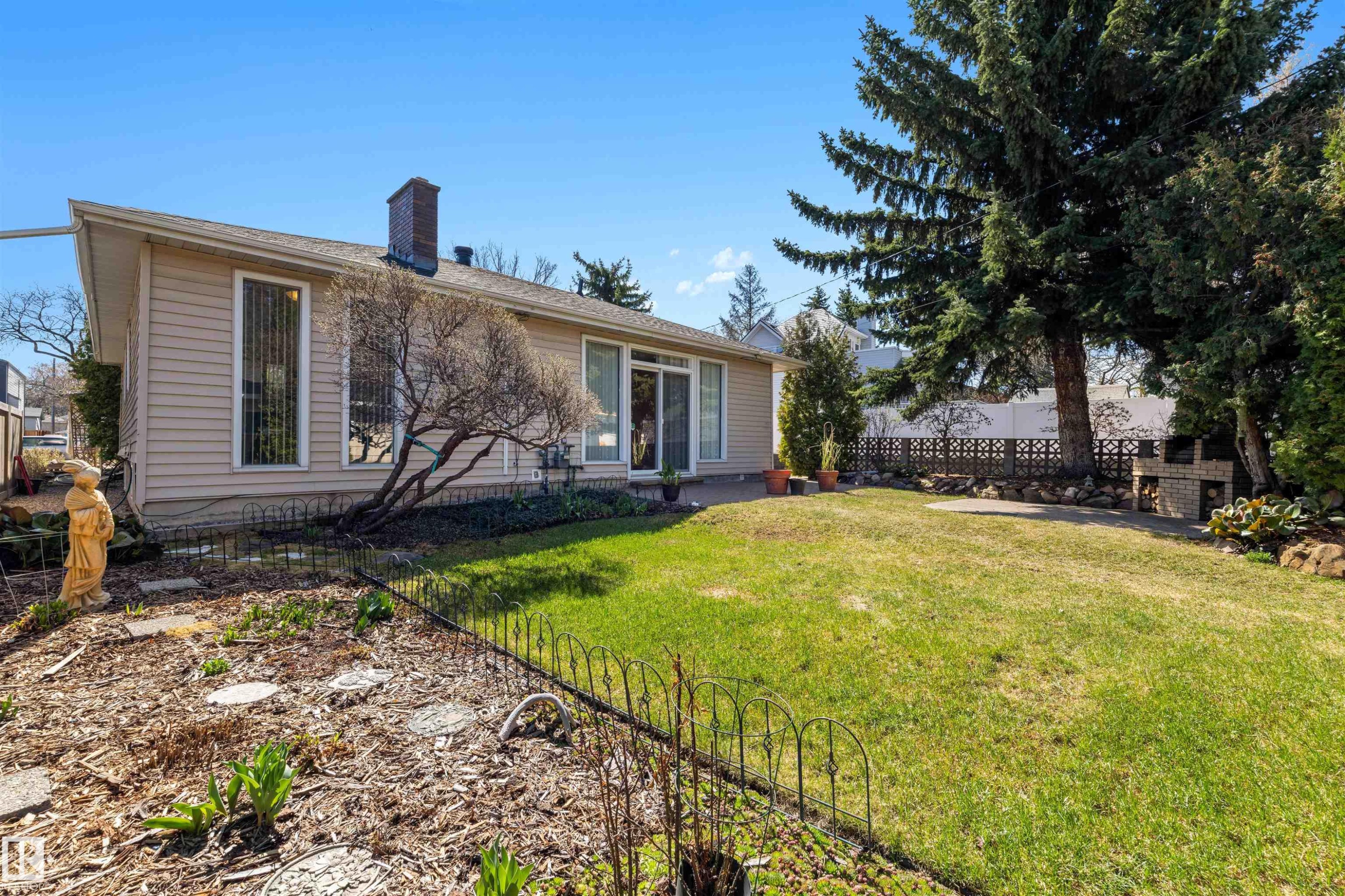 Expansive backyard featuring a manicured lawn, a large evergreen tree, and a built-in outdoor grill station - 9602 85 Street, Edmonton, AB