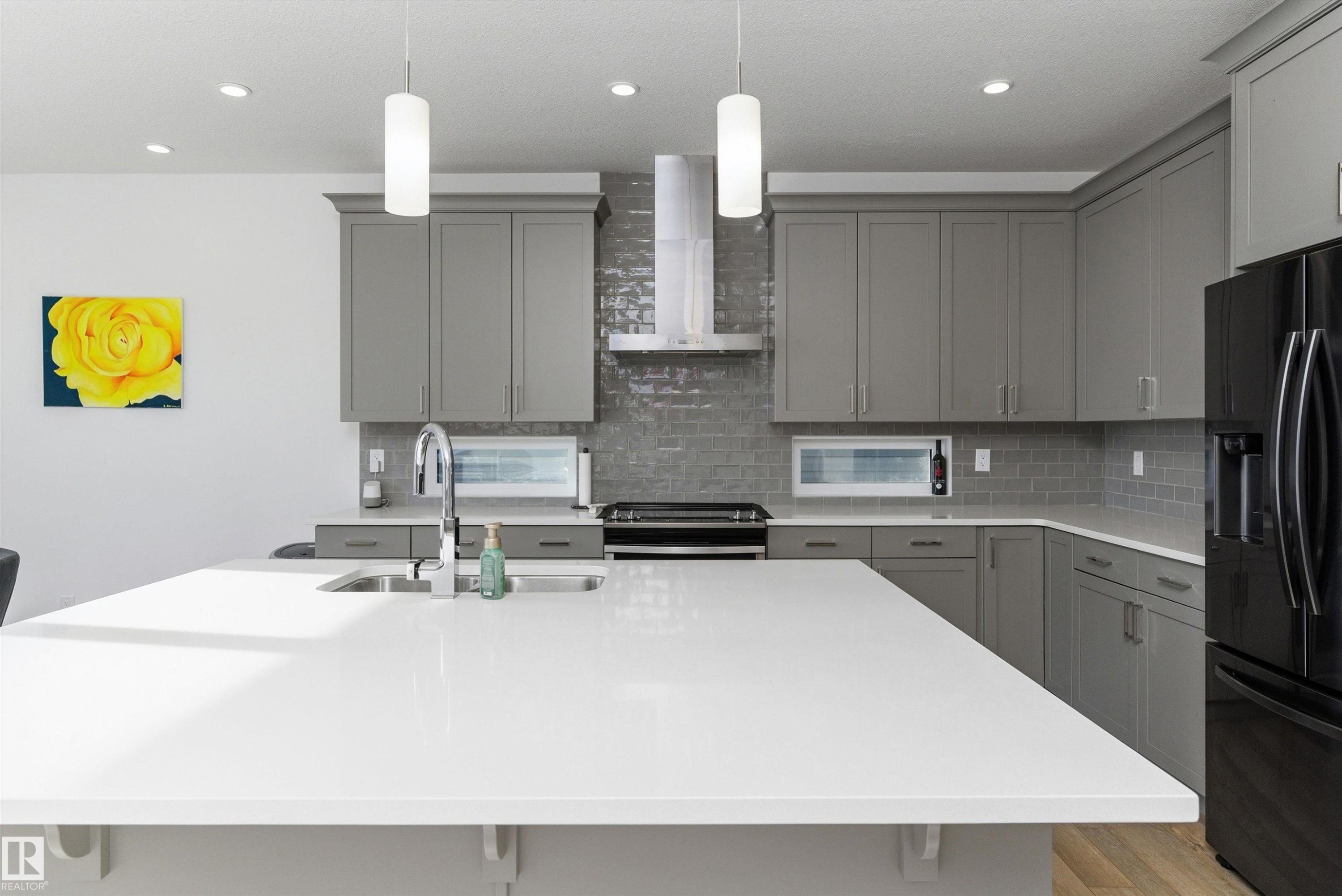 20007 16 Avenue, Edmonton, AB - Indoor Photo Showing Kitchen With Upgraded Kitchen