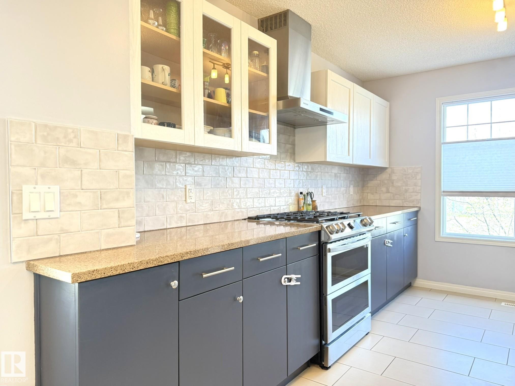41 460 Hemingway Road Nw, Edmonton, AB - Indoor Photo Showing Kitchen With Upgraded Kitchen