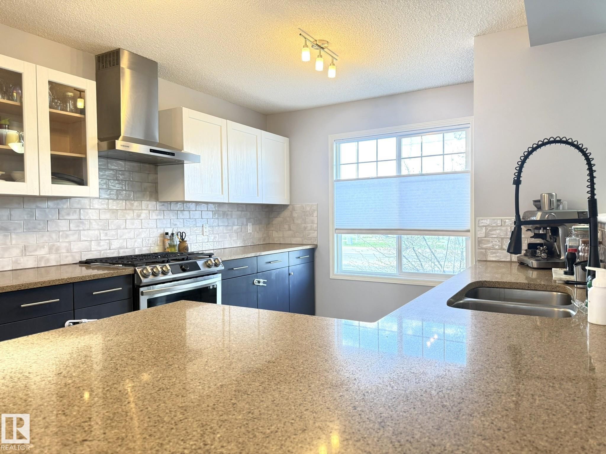 41 460 Hemingway Road Nw, Edmonton, AB - Indoor Photo Showing Kitchen With Double Sink With Upgraded Kitchen
