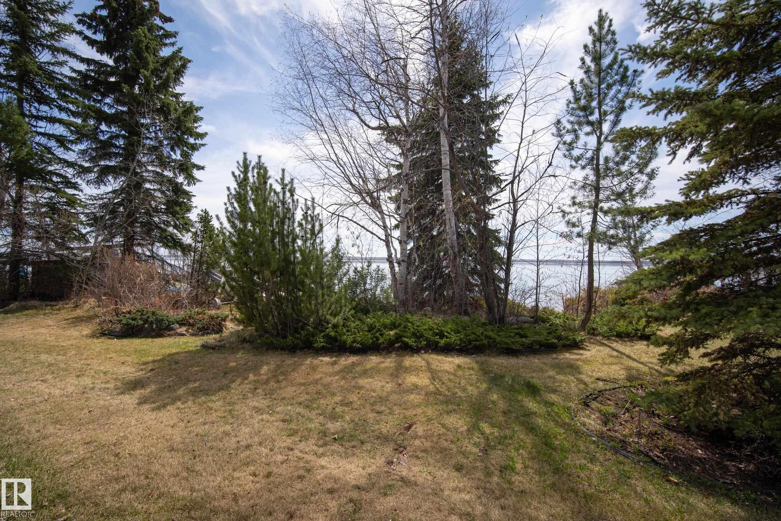 Expansive grounds featuring mature evergreen trees and established shrubbery, with distant water visible through the trees - 77 Lakeshore Drive, Rural Leduc County, AB - Outdoor With View