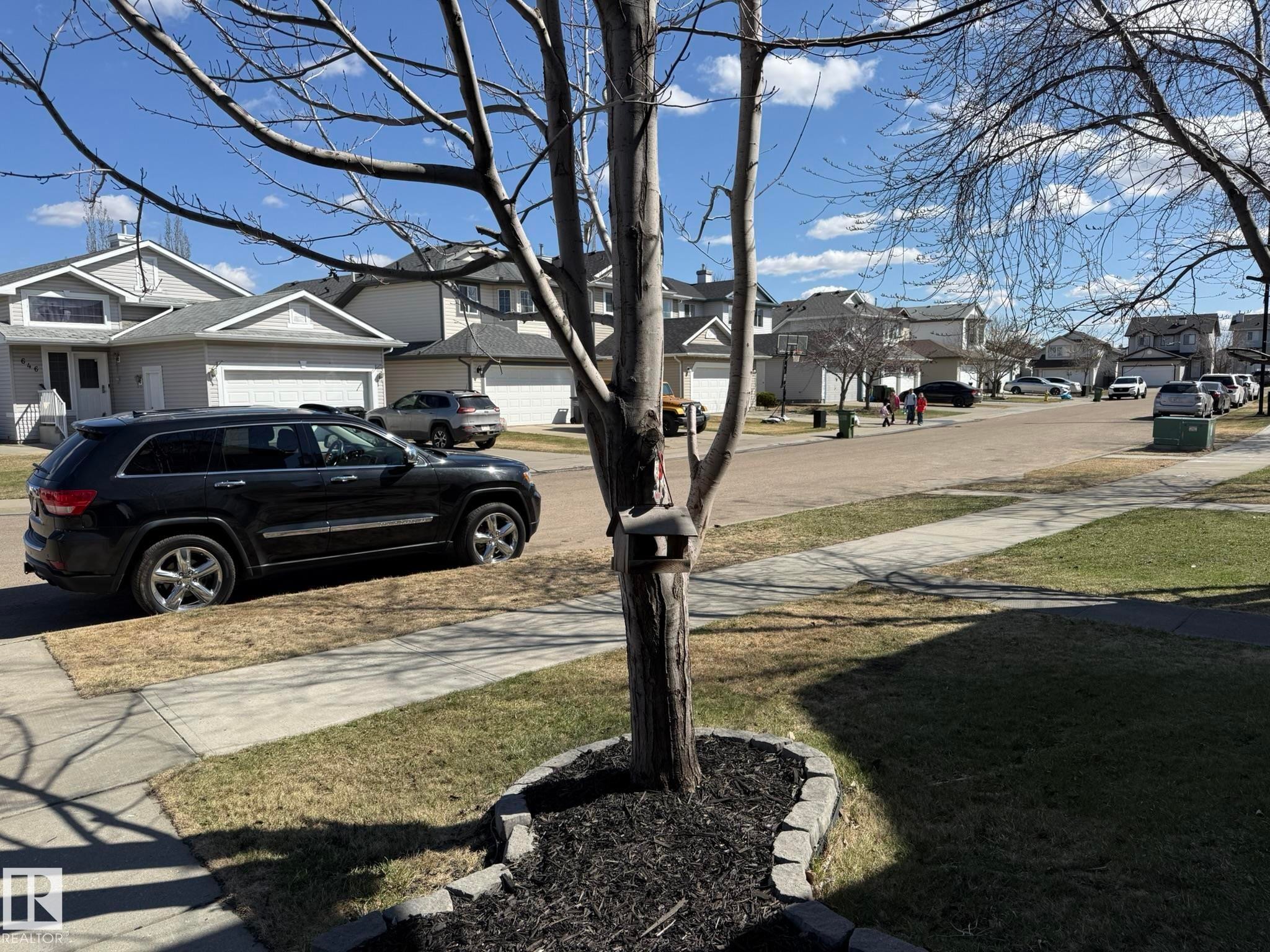 Manicured front yard featuring a tree with decorative bark mulch surround, concrete sidewalk, and a partial view of the residential street - 645 Windross Crescent, Edmonton, AB