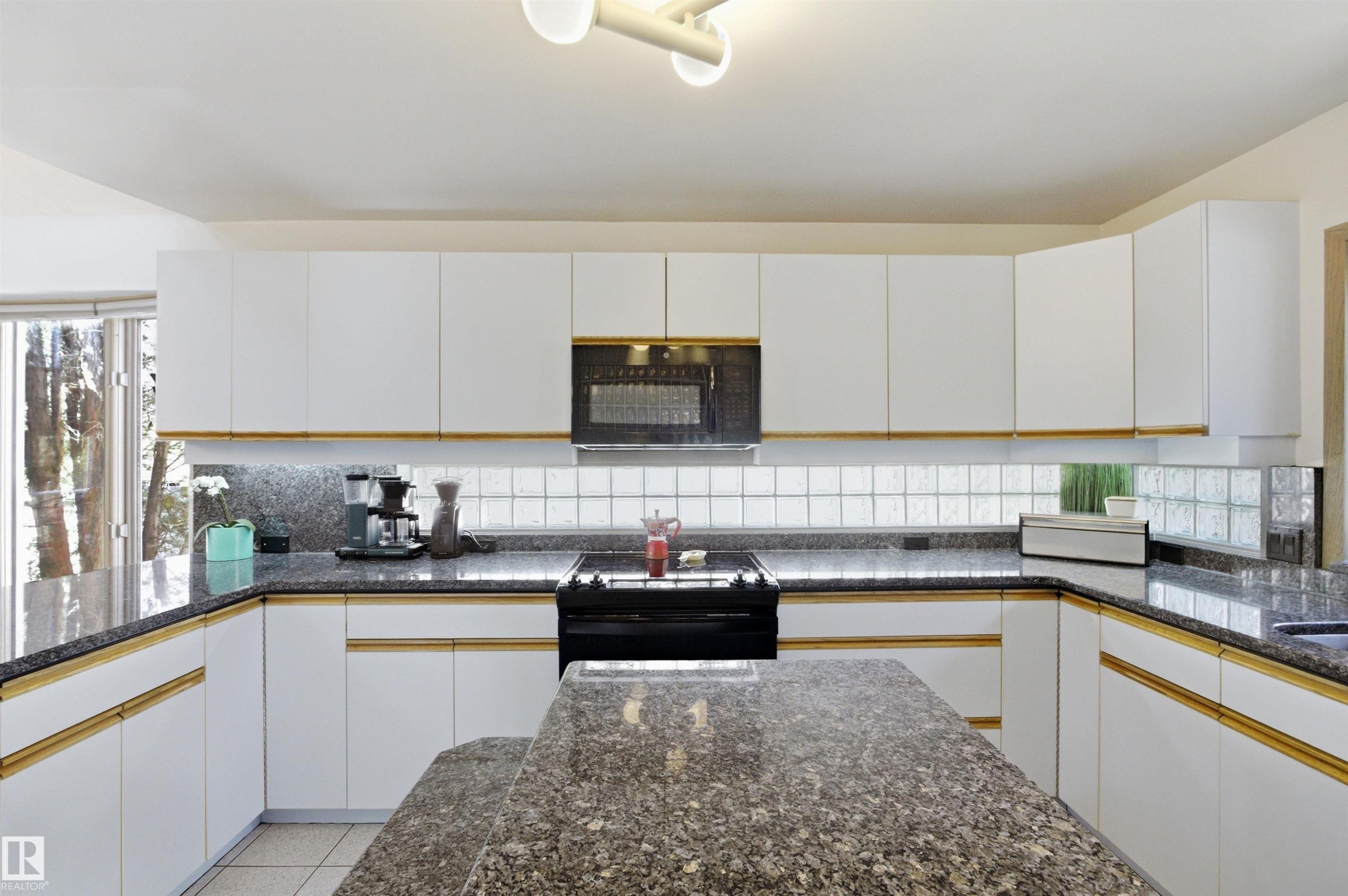 1116 111A Street, Edmonton, AB - Indoor Photo Showing Kitchen With Double Sink