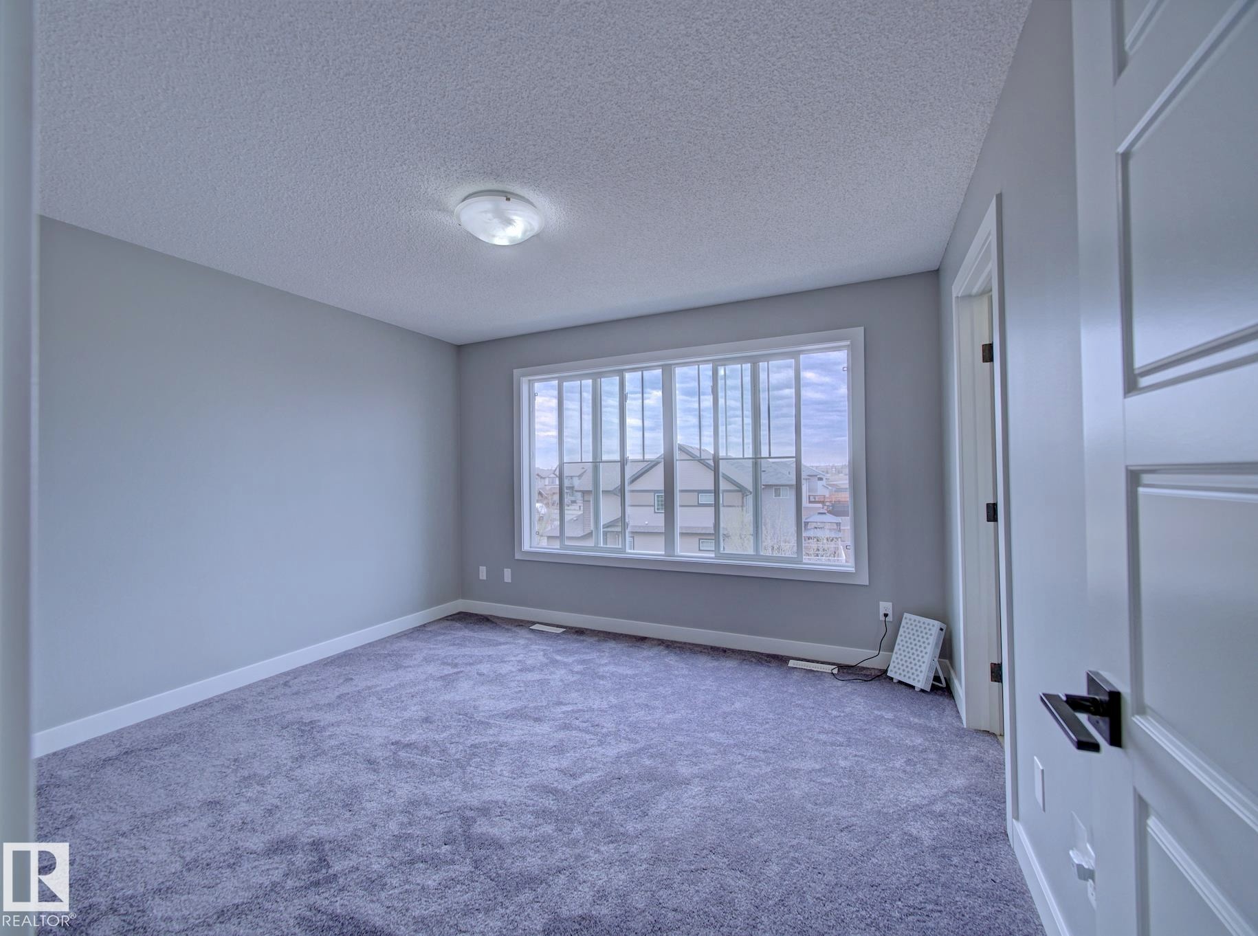 Room featuring gray wall paint, textured ceiling, a flush mount light fixture, and plush carpeting - 11 165 Cy Becker Boulevard, Edmonton, AB - Indoor Photo Showing Other Room