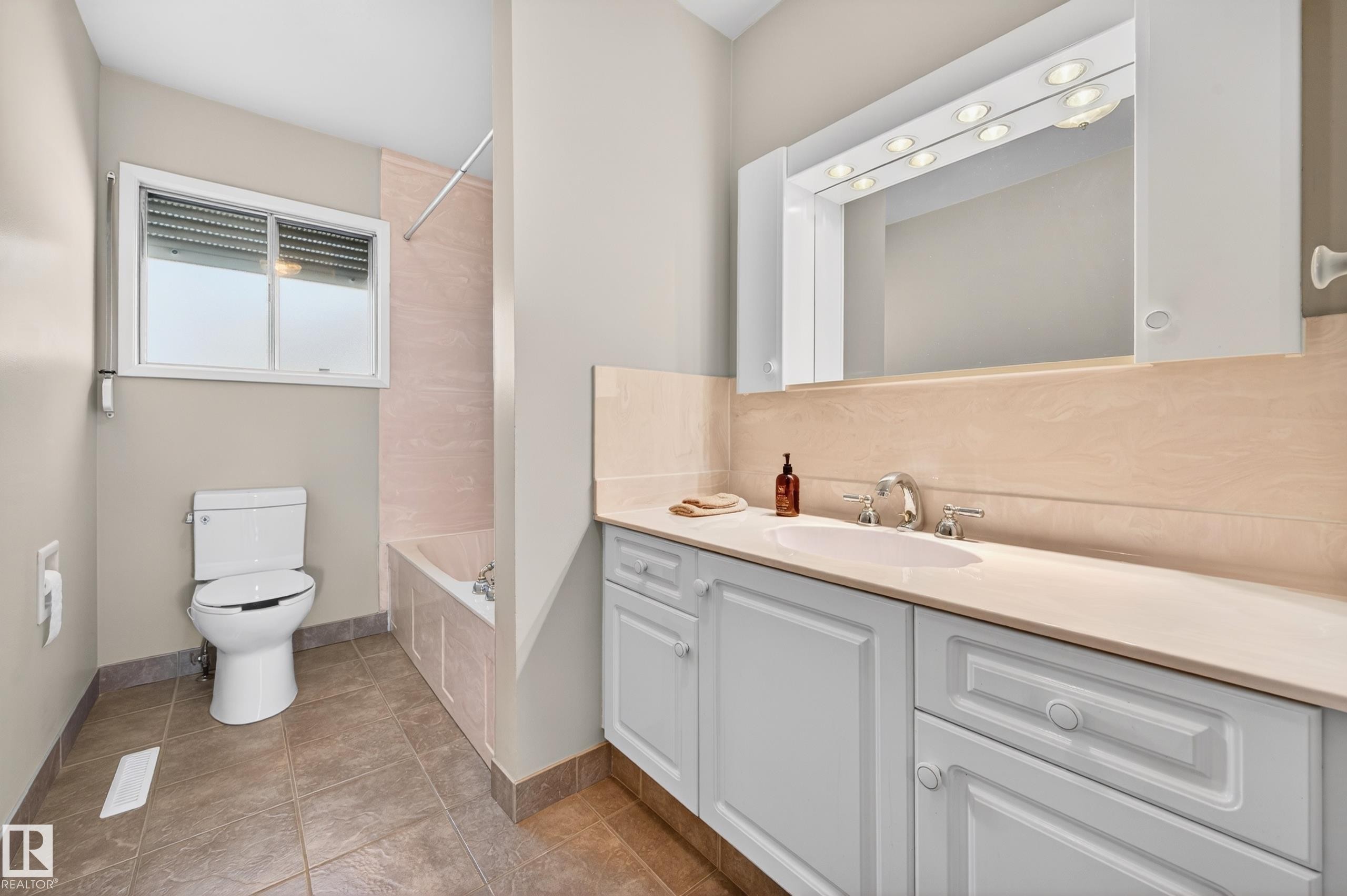 13916 61 Street Nw, Edmonton, AB - Indoor Photo Showing Bathroom