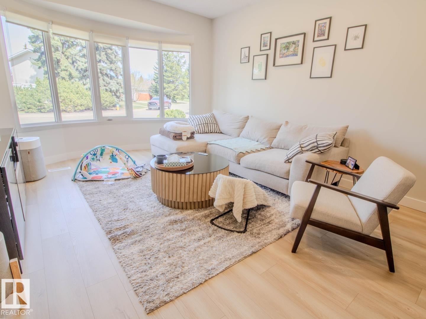 3412 110 Street, Edmonton, AB - Indoor Photo Showing Living Room