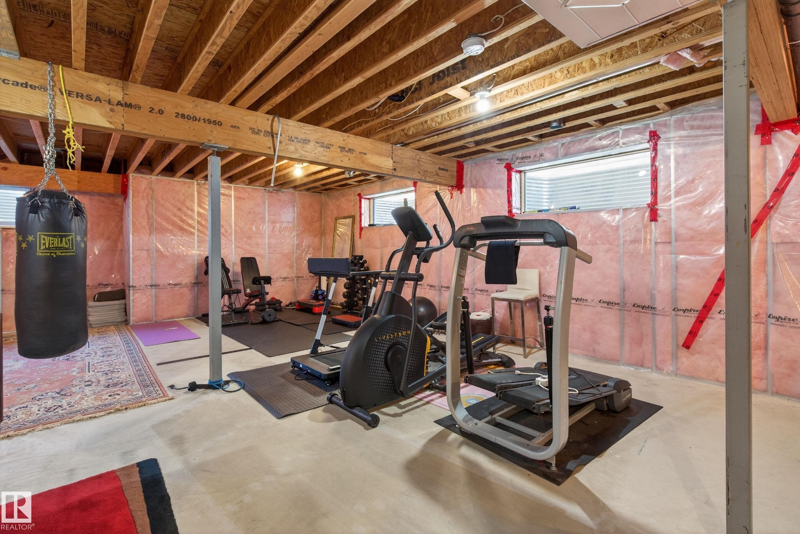 3908 Agar Crest, Edmonton, AB - Indoor Photo Showing Basement