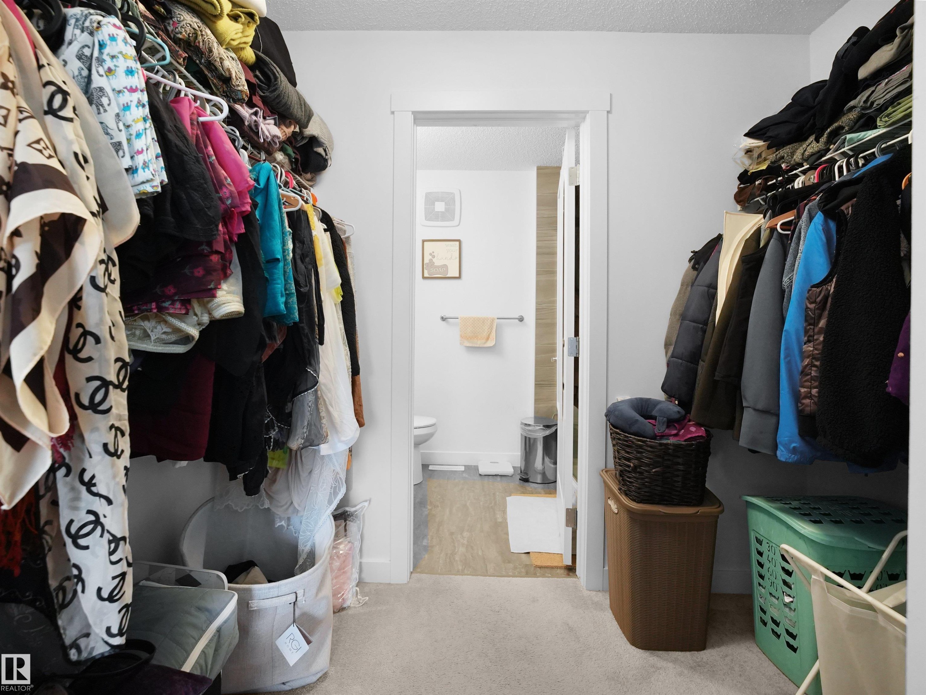 This property features a closet with carpeting and hanging storage solutions - 64 655 Watt Boulevard, Edmonton, AB - Indoor With Storage