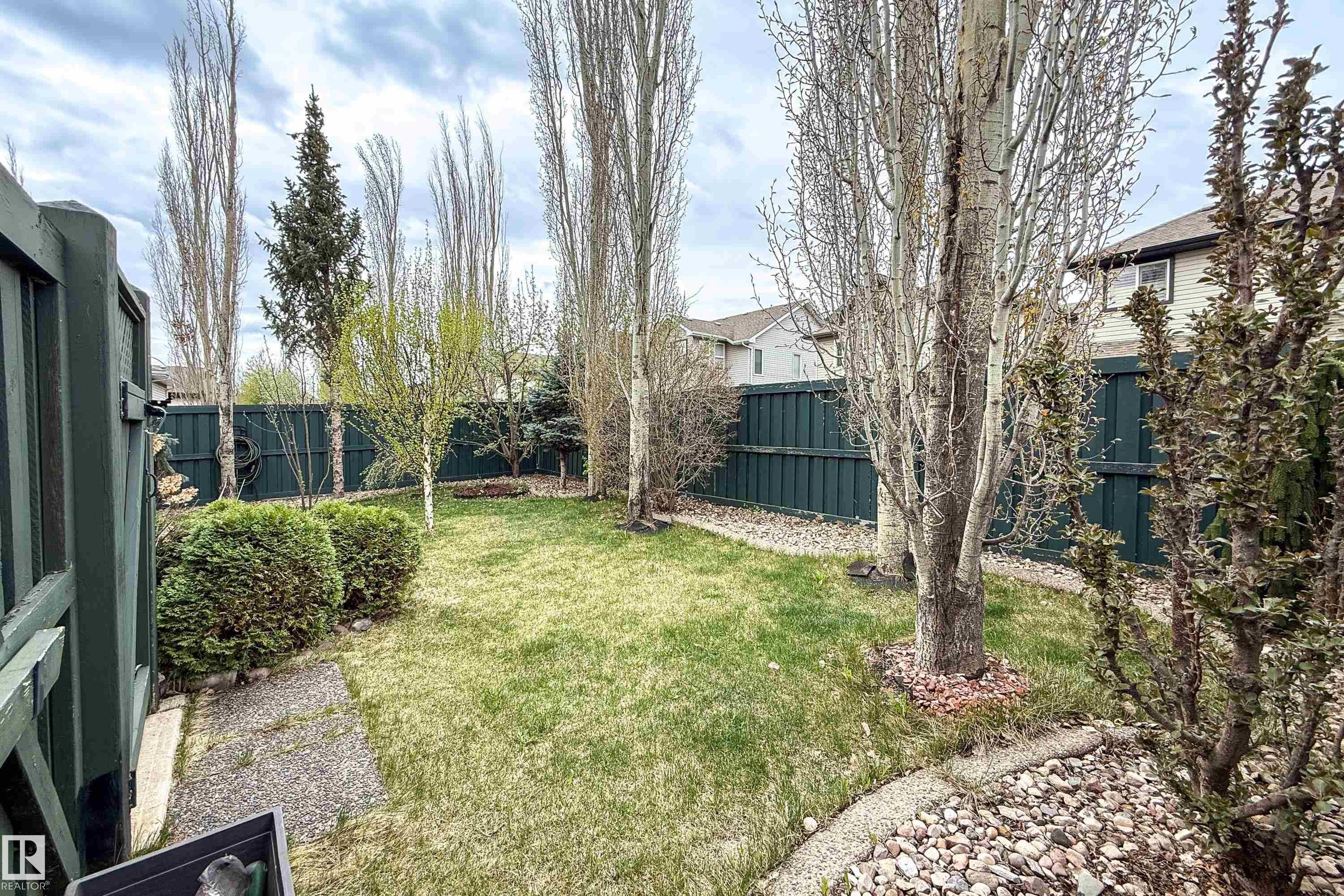 Grassed backyard with tall, slender trees, a dark green perimeter fence, established shrubs, and a gravel border - 2016 125 Street, Edmonton, AB - Outdoor