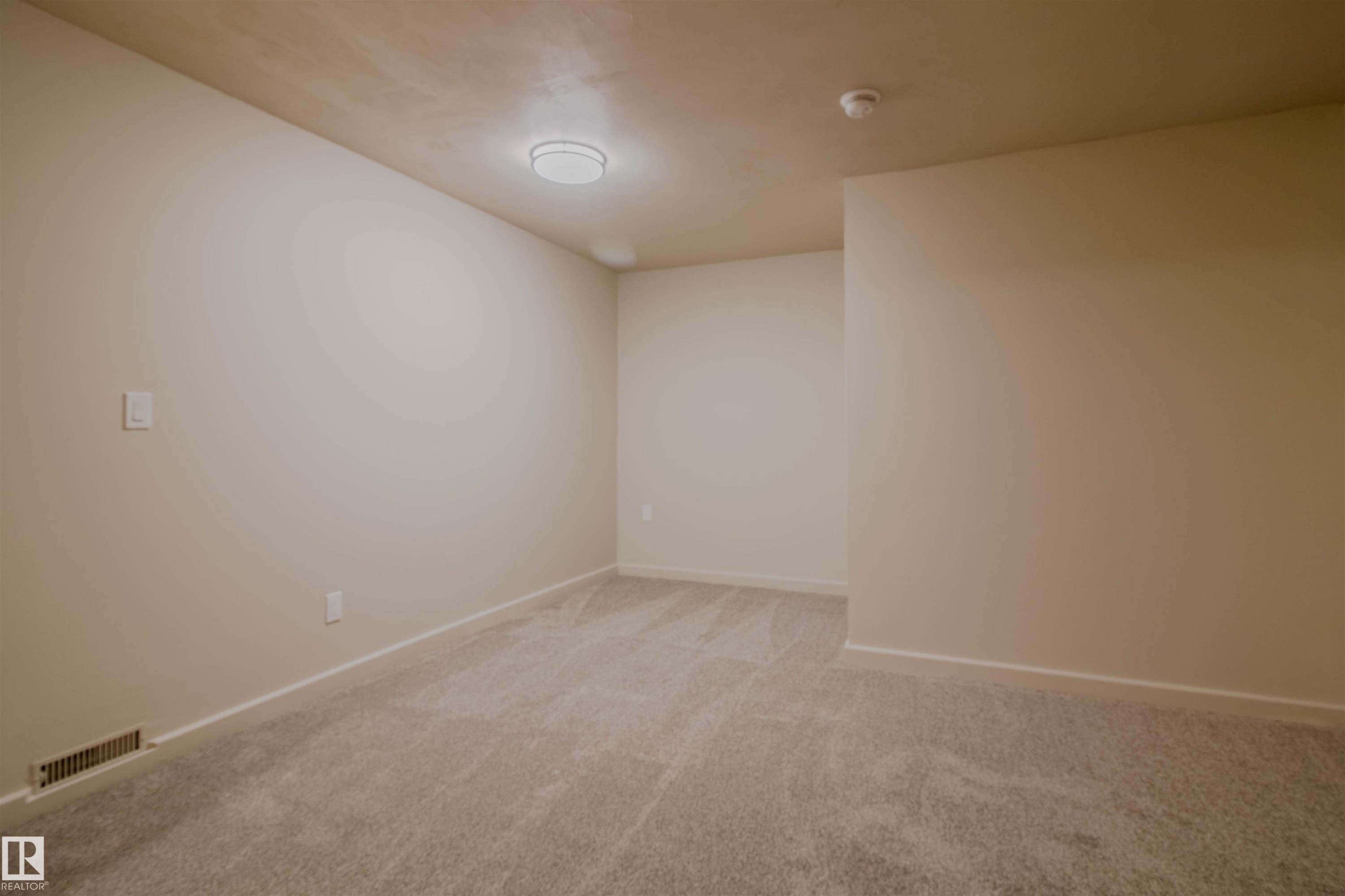 Neutral-toned room featuring a soft gray carpet, white baseboards, and a flush-mount ceiling light fixture - 5935 189 Street, Edmonton, AB - Indoor Photo Showing Other Room