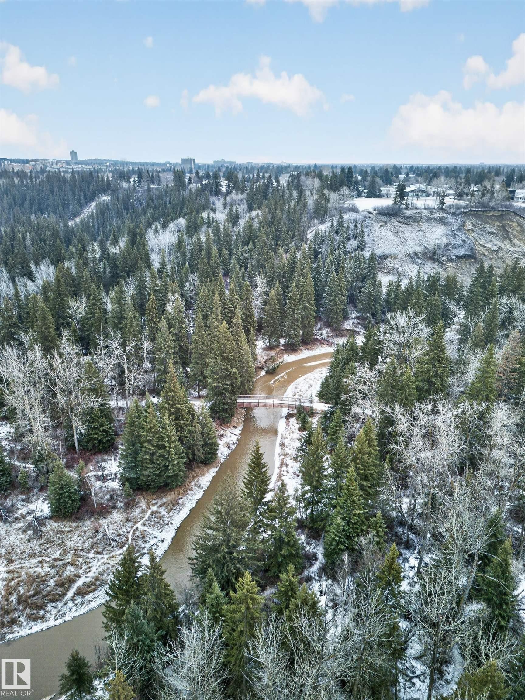 Expansive natural landscape featuring a winding river, dense evergreen forests, and a pedestrian bridge - 569 Butterworth Way, Edmonton, AB - Outdoor With View