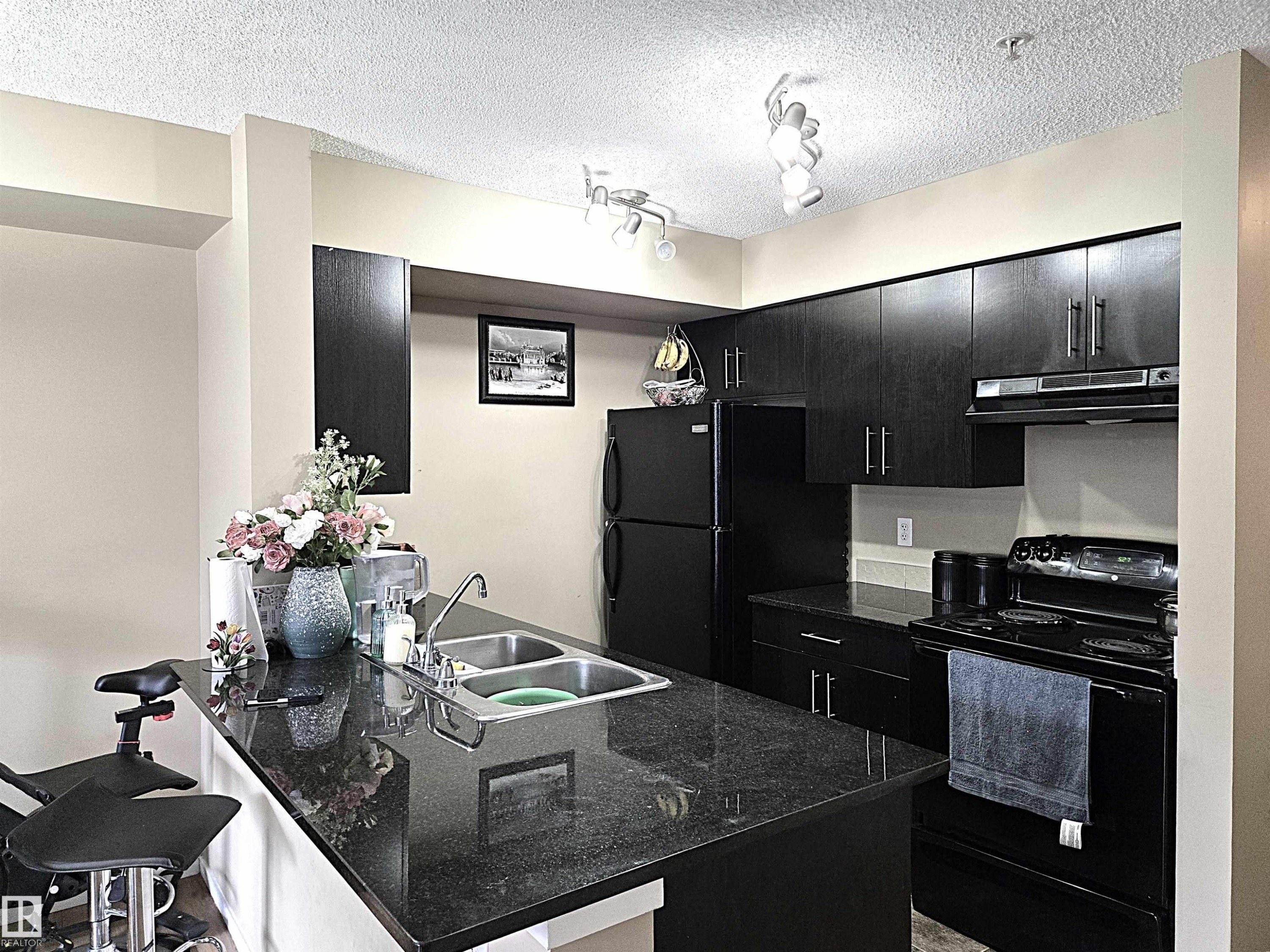 210 3207 James Mowatt Trail, Edmonton, AB - Indoor Photo Showing Kitchen With Double Sink