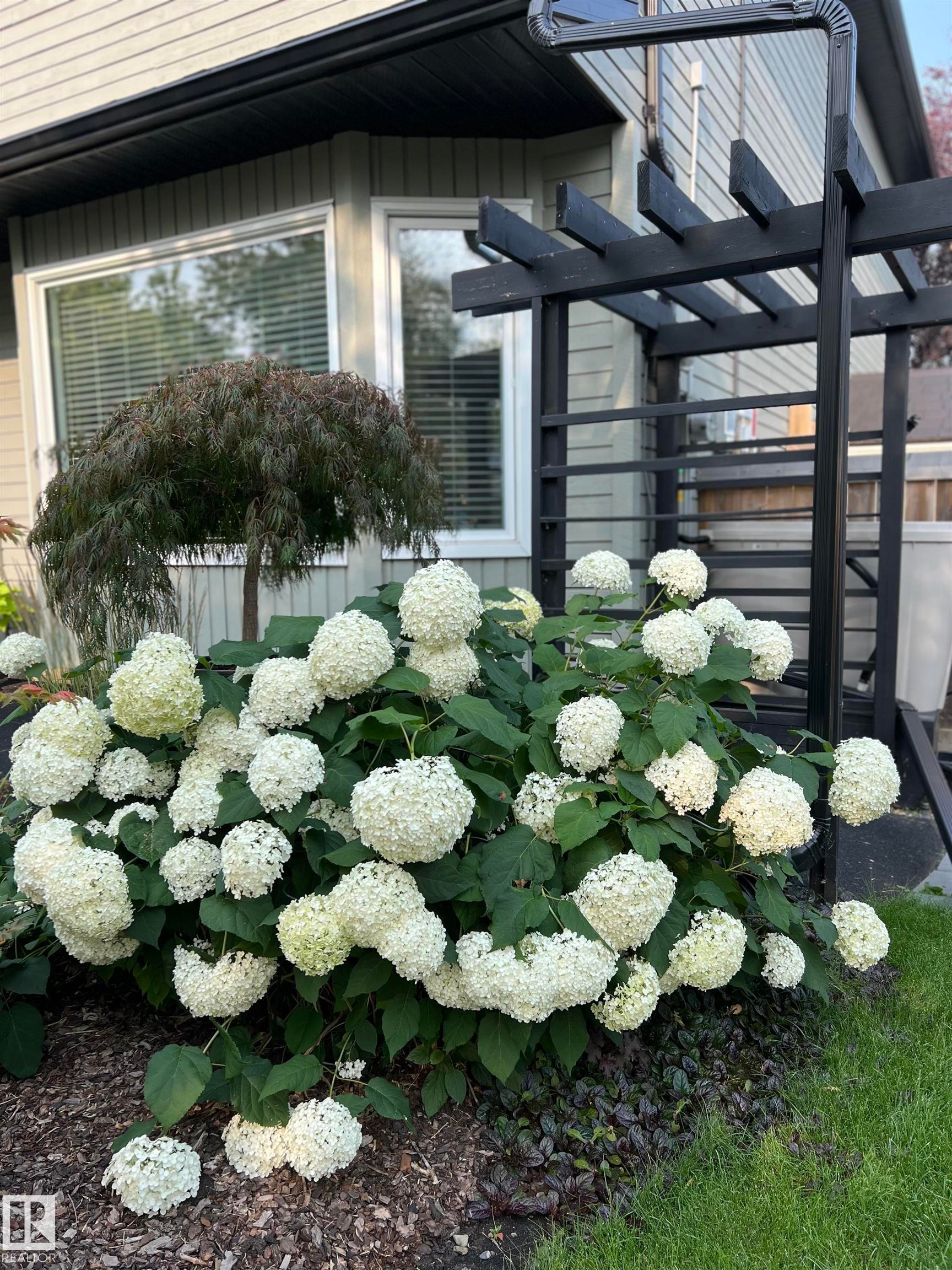 58 Patterson Cr, St. Albert, AB - Outdoor