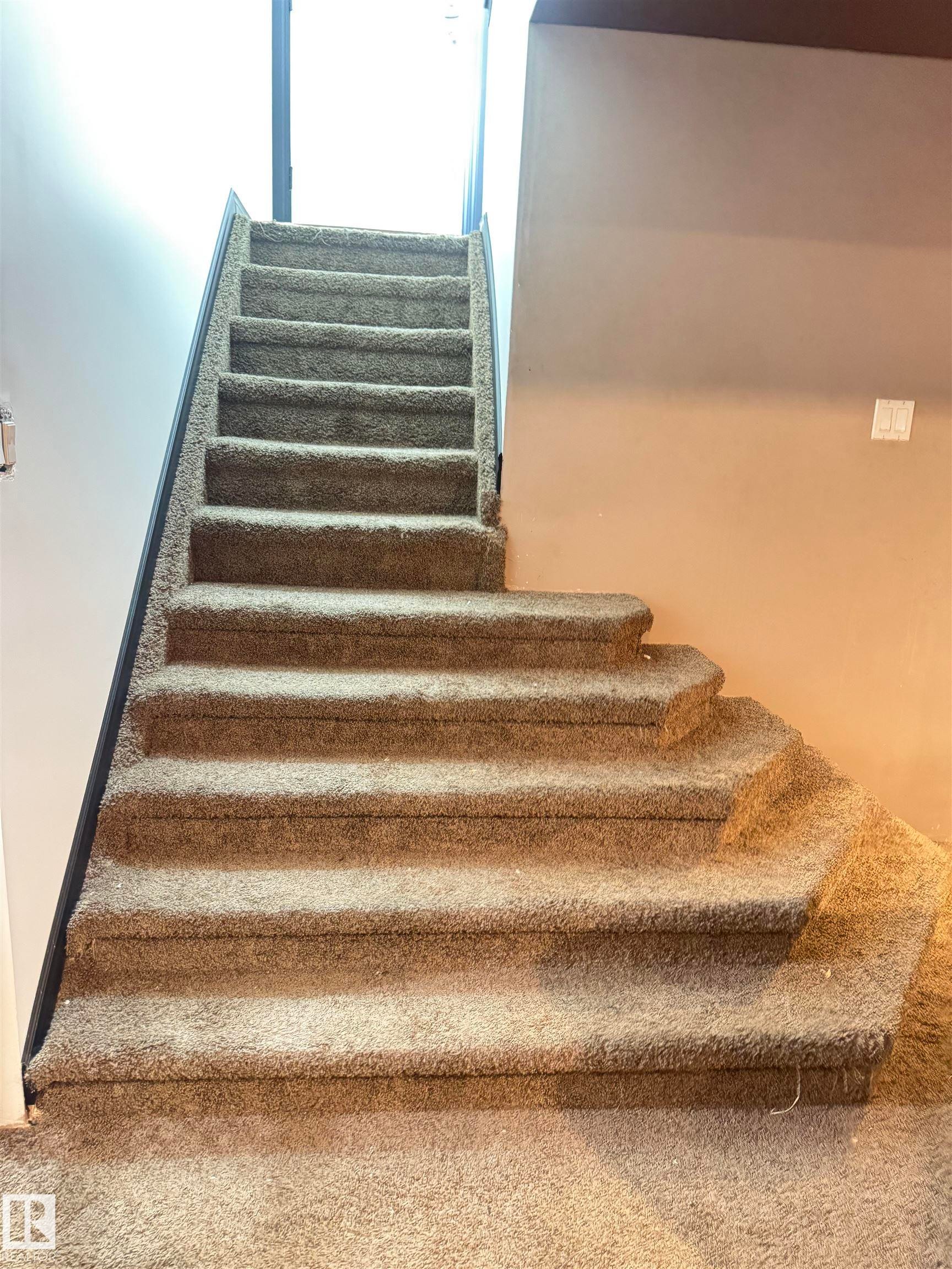 Carpeted staircase featuring a neutral tone, dark handrail, and light-colored walls - 45 Lambert Crescent, St. Albert, AB - Indoor Photo Showing Other Room