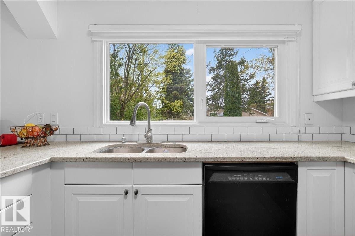 4124 121 Street, Edmonton, AB - Indoor Photo Showing Kitchen With Double Sink