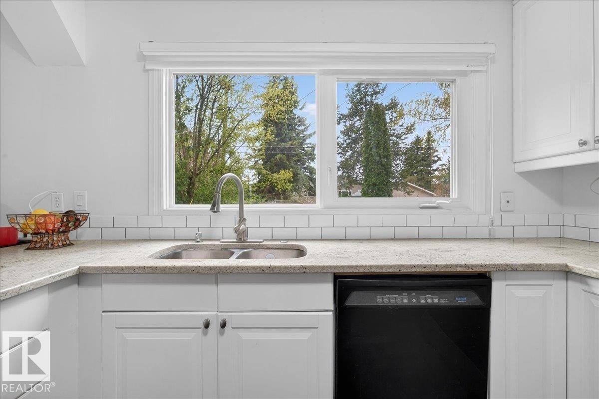 4124 121 Street, Edmonton, AB - Indoor Photo Showing Kitchen With Double Sink
