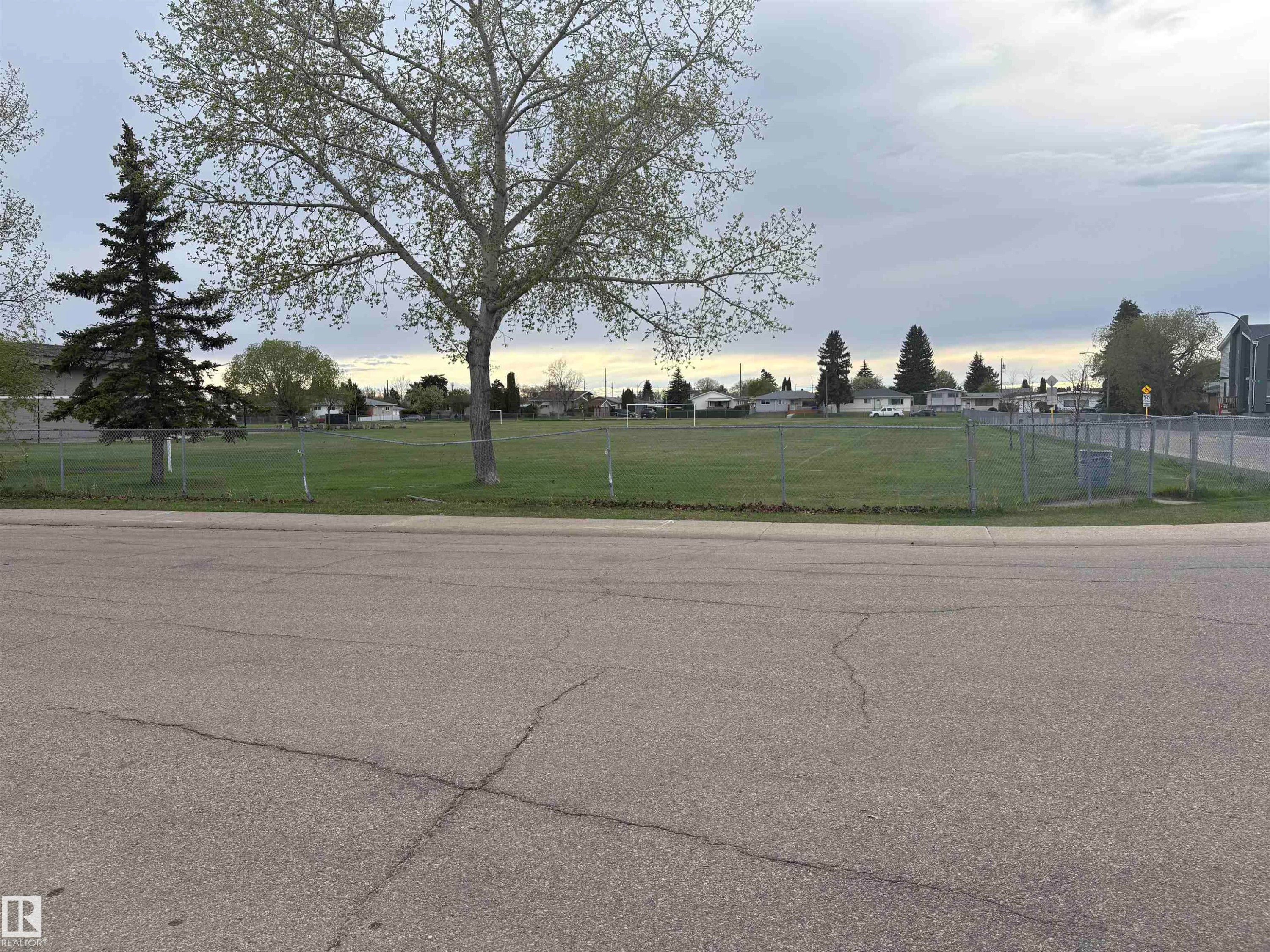 Expansive grass field bordered by chain-link fencing, mature deciduous trees, and evergreen trees - 13231 74 Street, Edmonton, AB - Outdoor With View