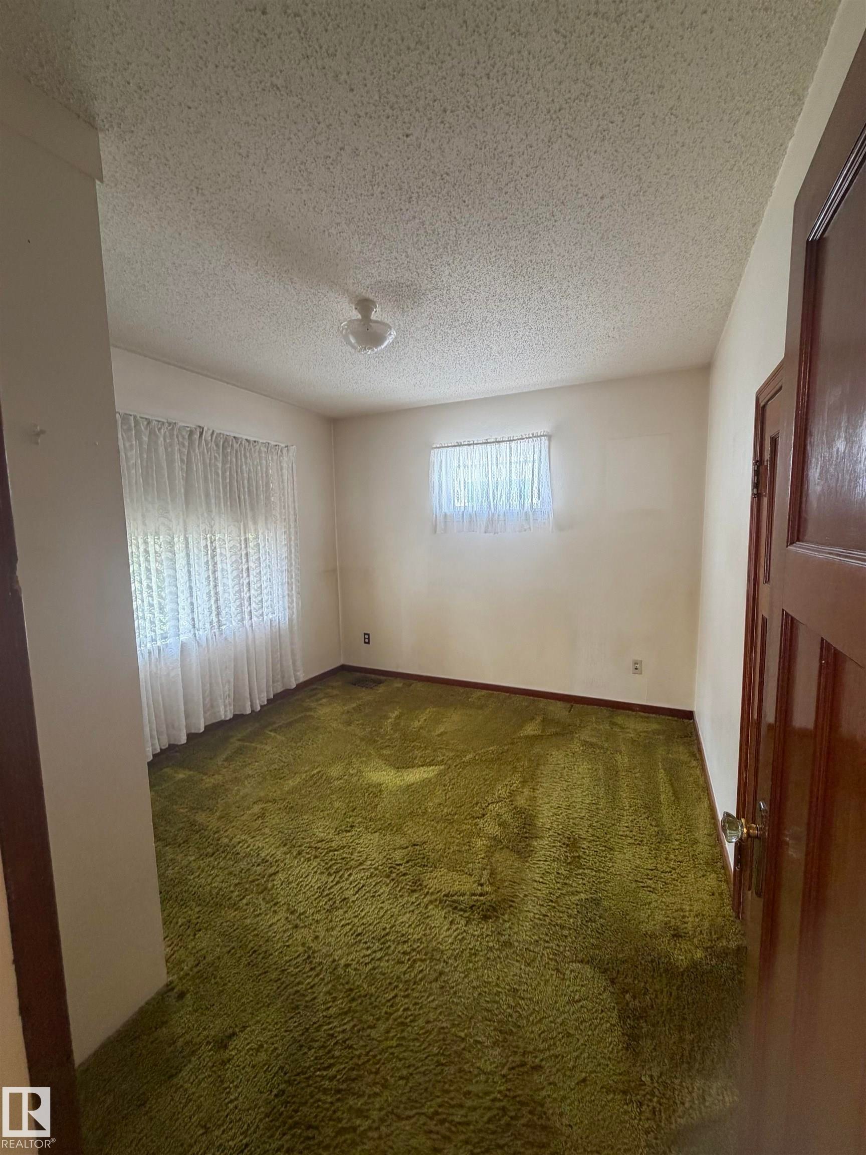 Spacious room featuring textured carpeting, neutral wall tones, and a ceiling-mounted light fixture - 9630 106 Avenue, Edmonton, AB - Indoor Photo Showing Other Room