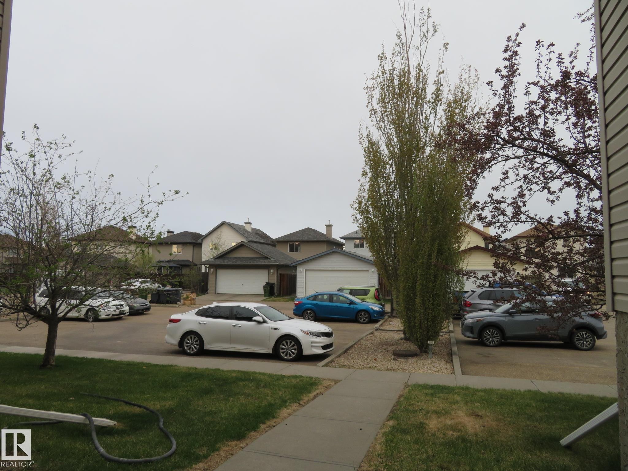 Front yard with a concrete walkway, green lawn, and mature trees - 2945 26 Street, Edmonton, AB - Outdoor
