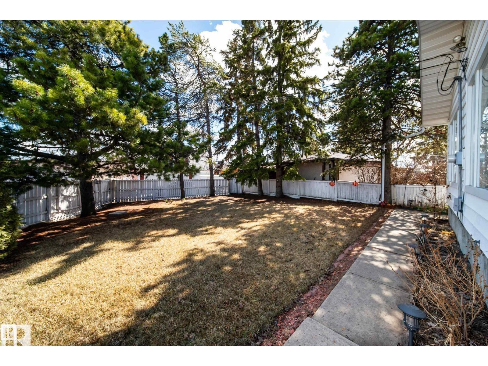 Expansive backyard featuring mature evergreen trees, a manicured lawn, full fencing, and a concrete pathway - 10231 46 Street, Edmonton, AB