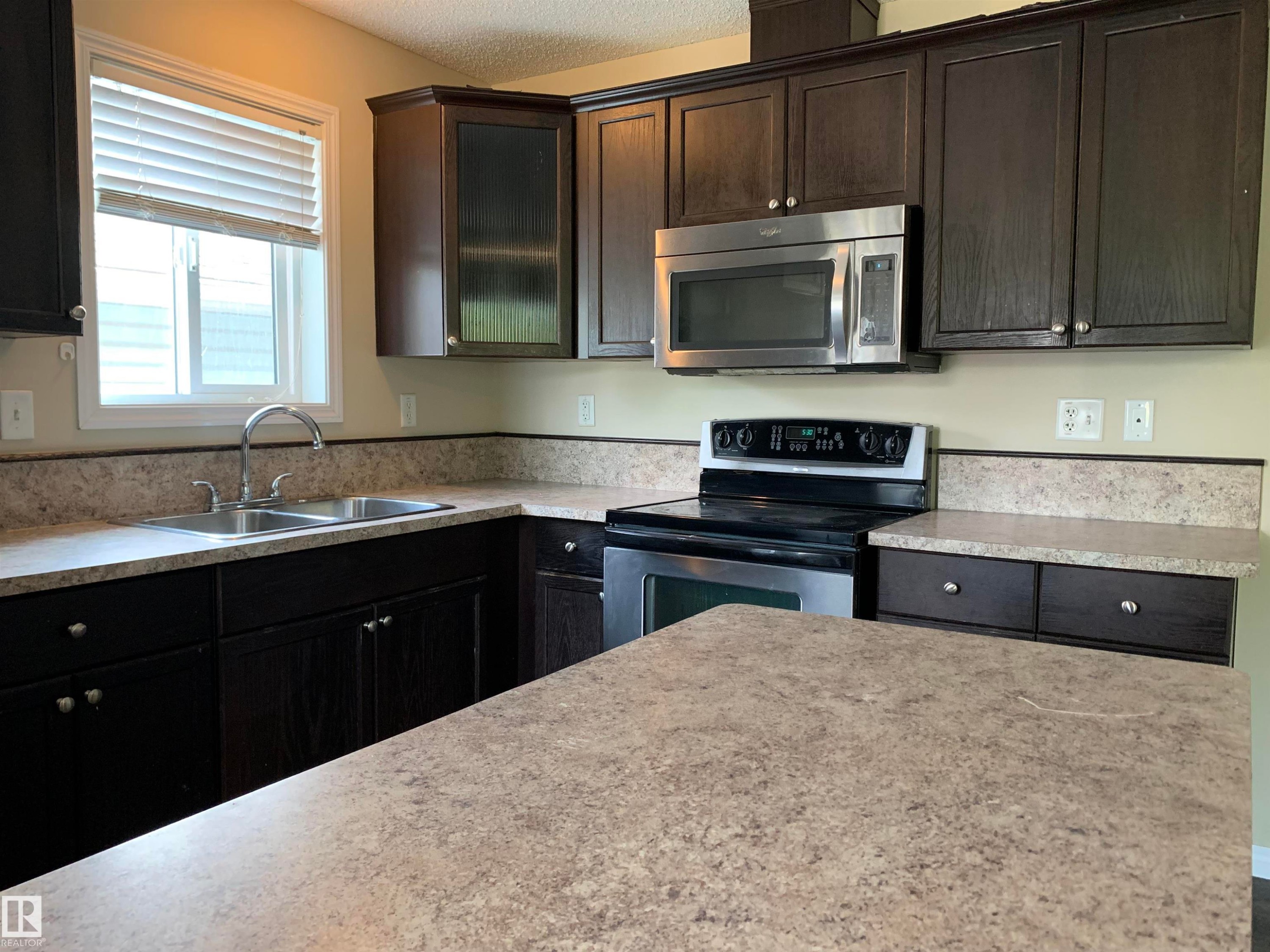 11824 93 Street, Edmonton, AB - Indoor Photo Showing Kitchen With Double Sink