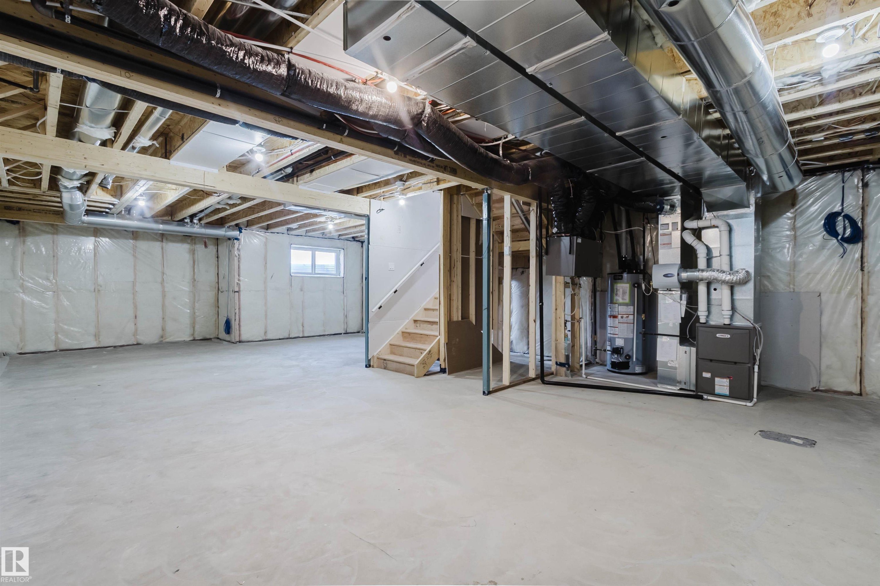 226 Edgemont Green, Edmonton, AB - Indoor Photo Showing Basement