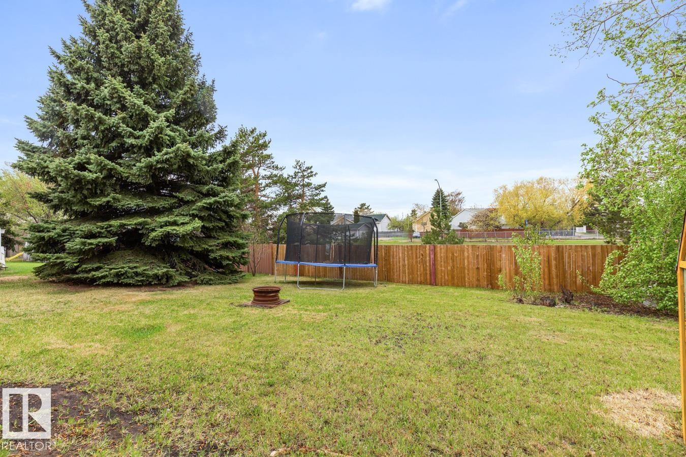 Expansive lawn area featuring a mature evergreen tree - 4340 33 Street, Edmonton, AB - Outdoor With Backyard