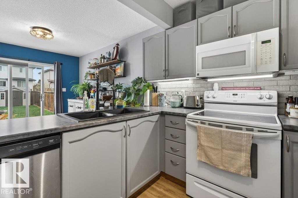 13956 137 Street, Edmonton, AB - Indoor Photo Showing Kitchen With Double Sink