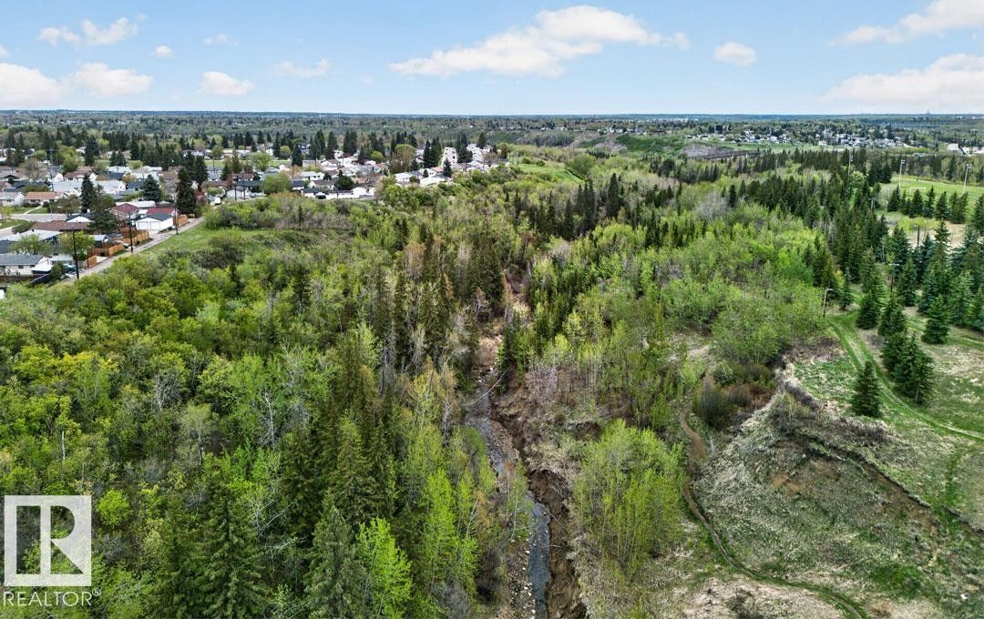 10328 42 Street, Edmonton, AB - Outdoor With View