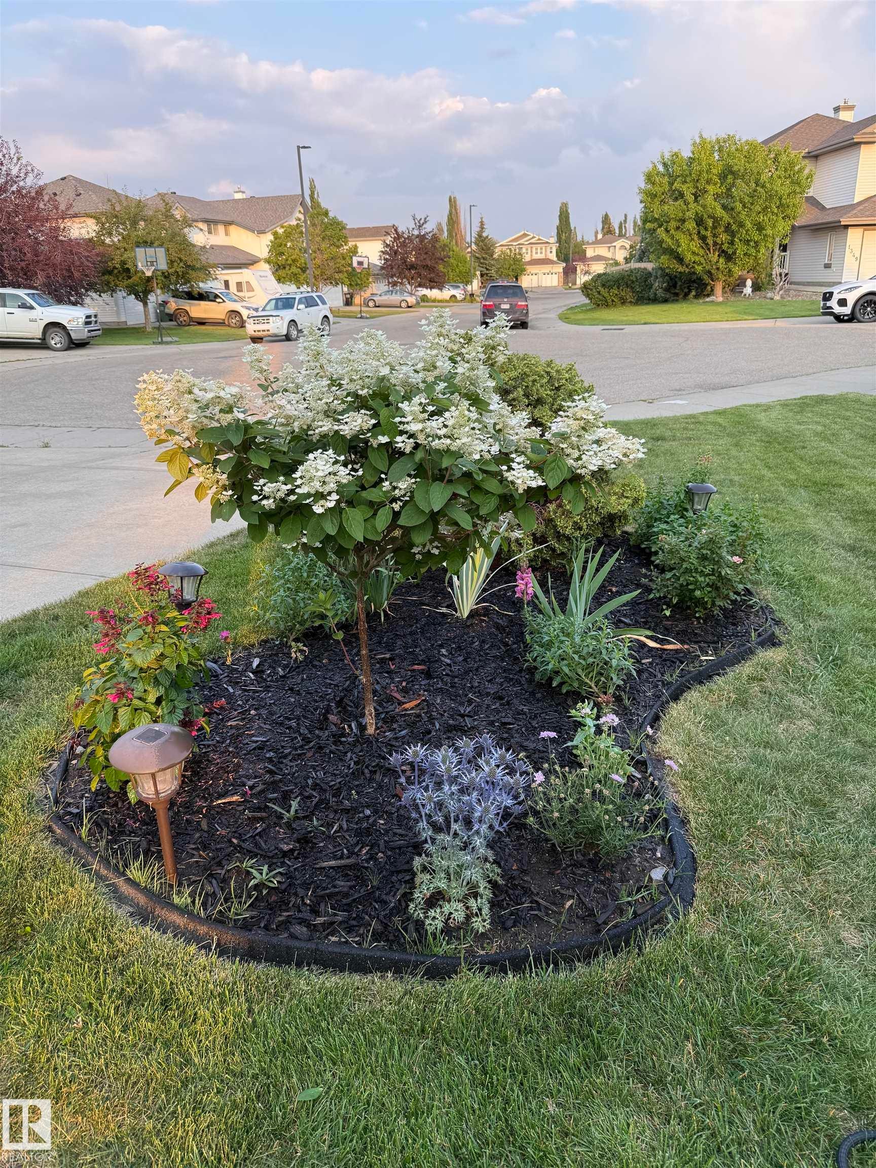 1358 118A Street, Edmonton, AB - Outdoor With View