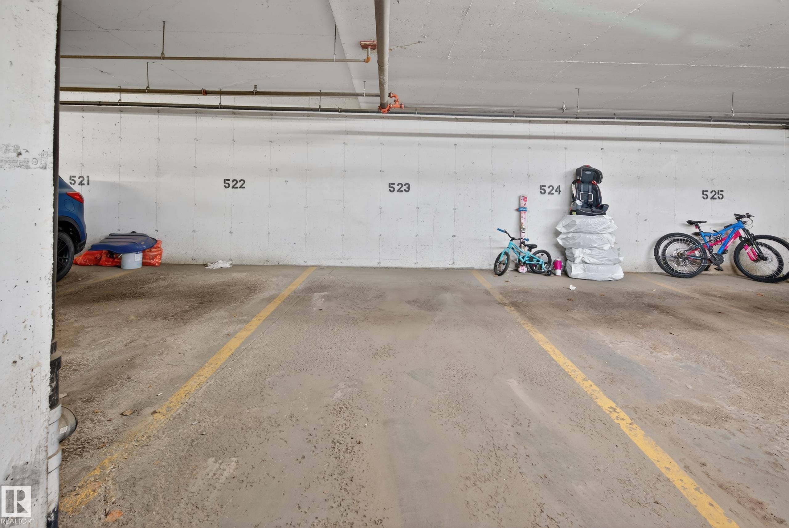212 5340 199 Street, Edmonton, AB - Indoor Photo Showing Garage