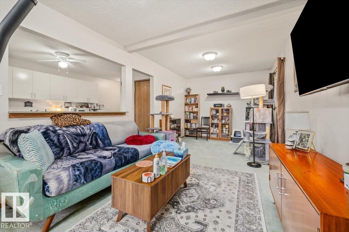 4411 209 Street Nw, Edmonton, AB - Indoor Photo Showing Living Room