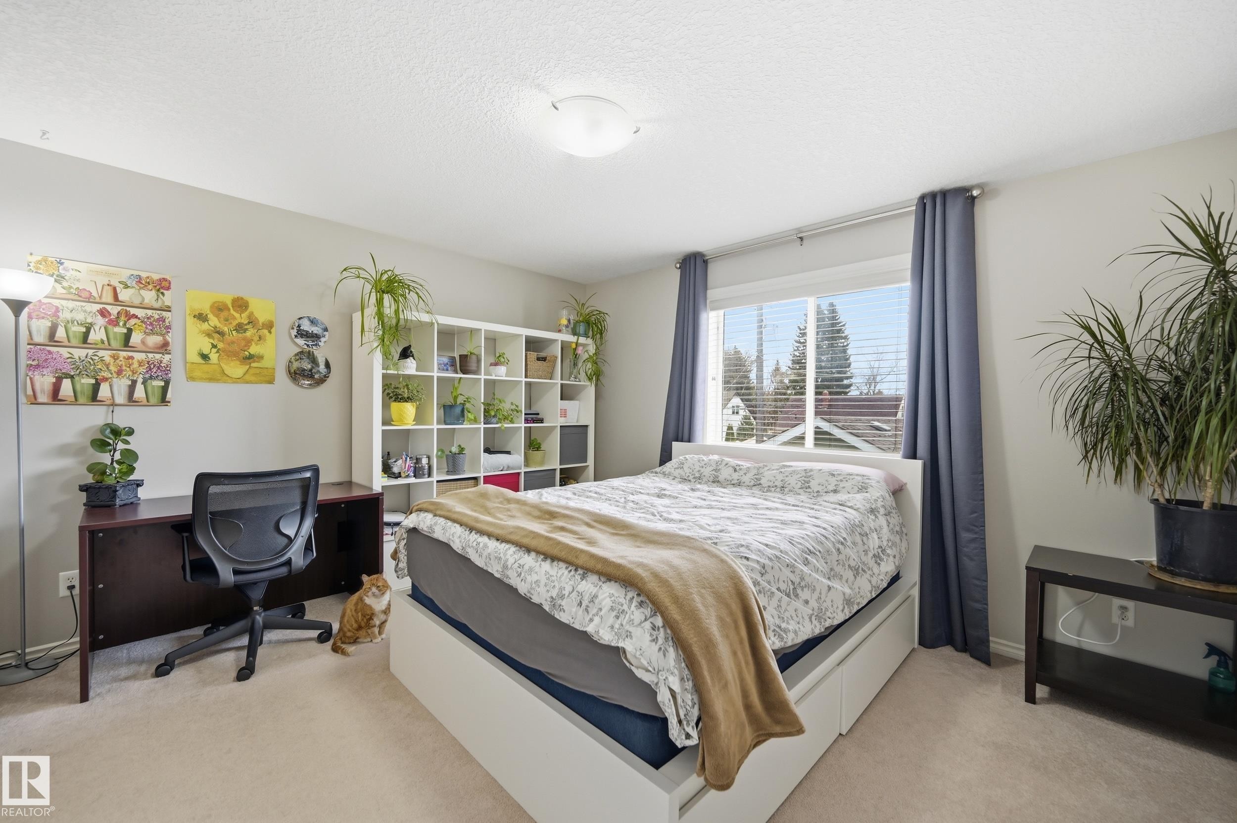 11337 76 Avenue Nw, Edmonton, AB - Indoor Photo Showing Bedroom