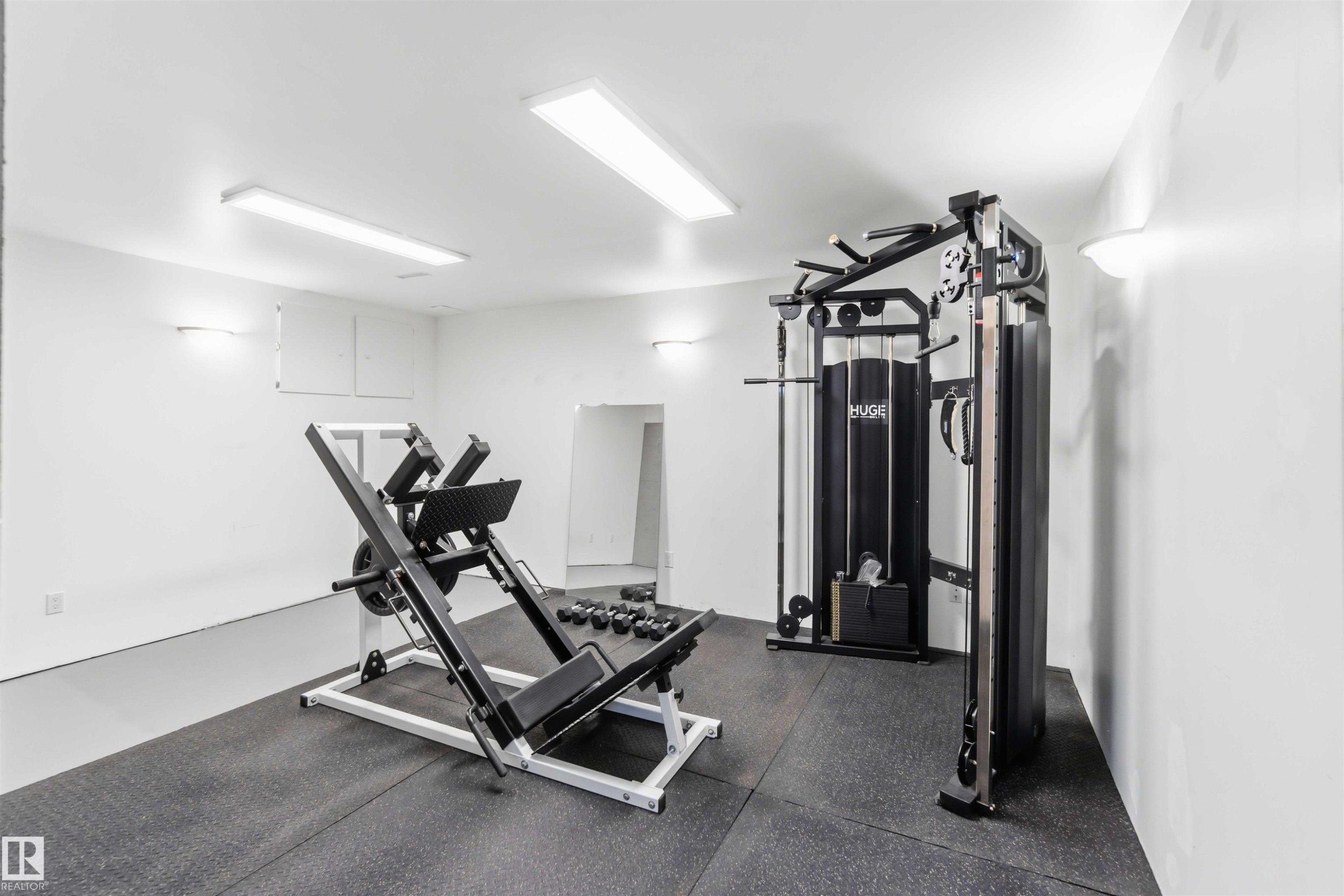 17919 94 Avenue, Edmonton, AB - Indoor Photo Showing Gym Room